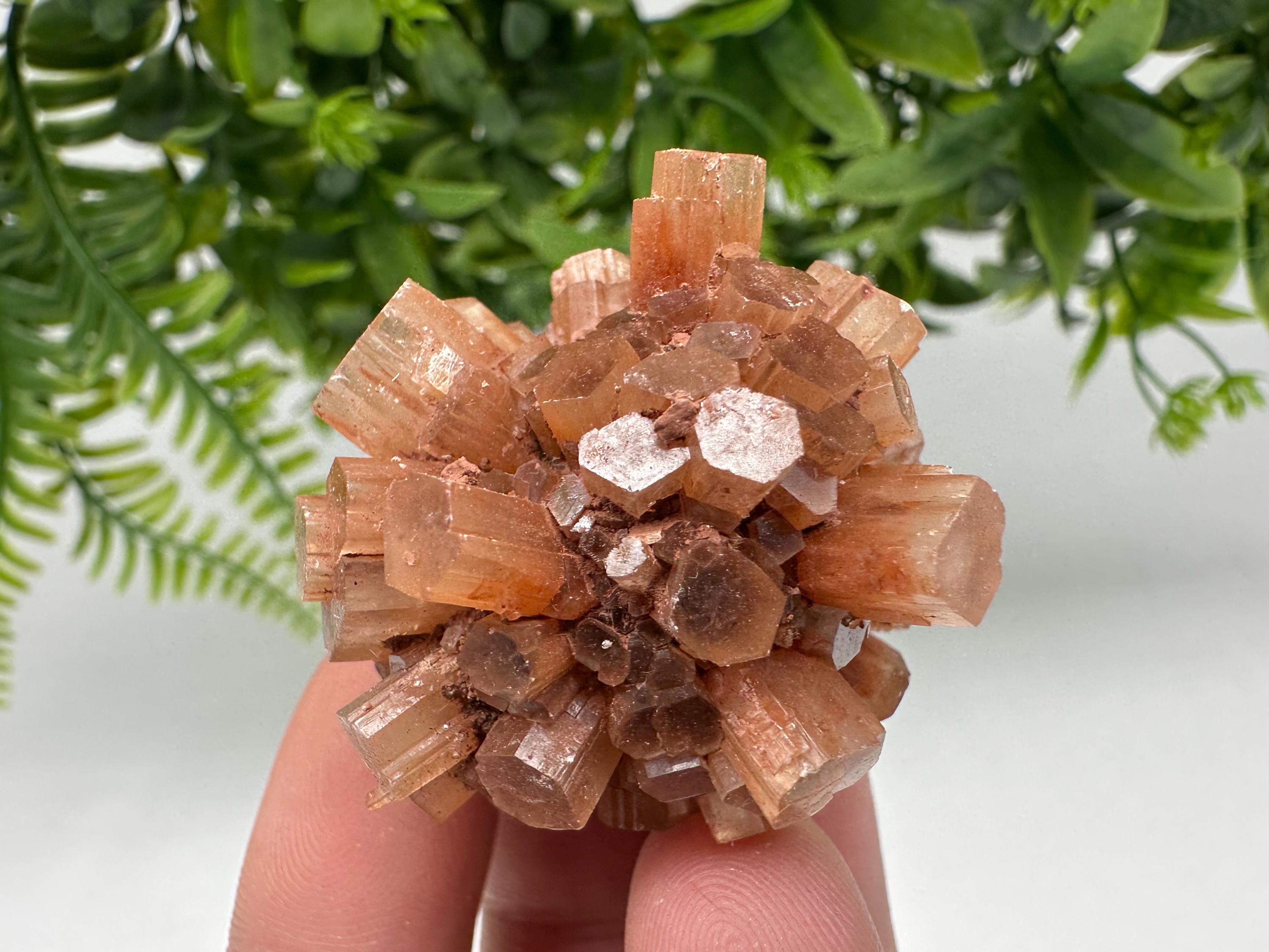 Aragonite Sputnik Cluster: Raw Moroccan Crystal Stone, Home Decor