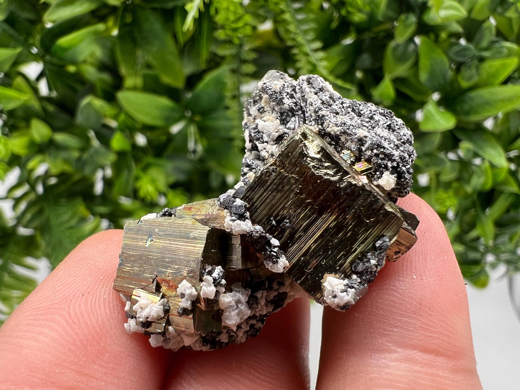 Mini Rainbow Pyrite Cluster: Borieva Mine, Bulgaria