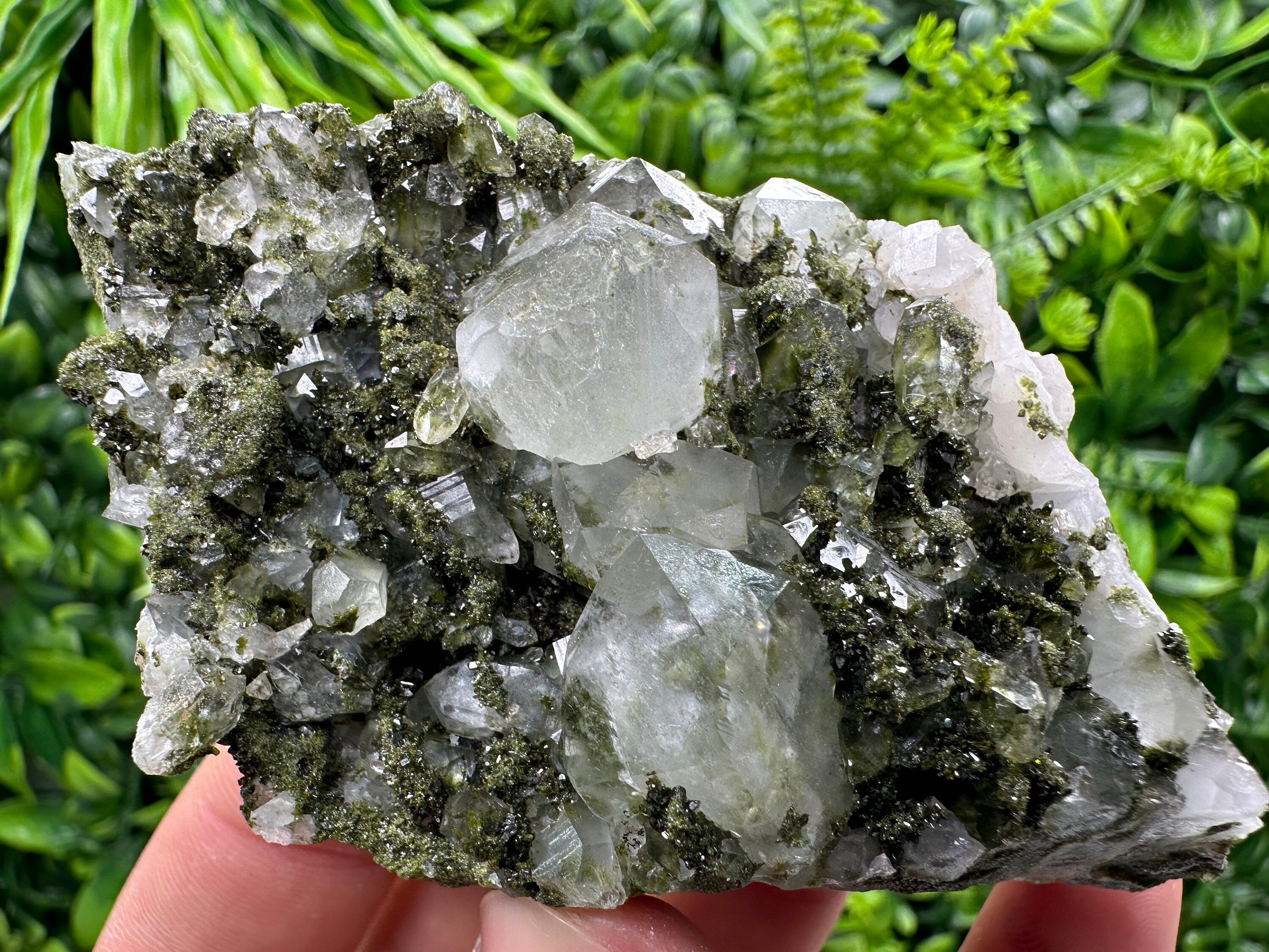 Rare Green Epidote with Quartz Crystals: Sparkly Rainbow Mineral Decor