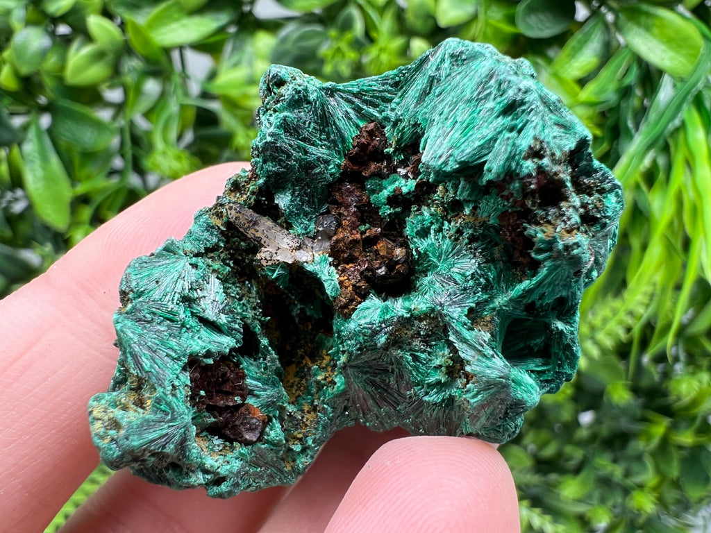 Malachite Crystal from Congo,Minerals,Crystals from Congo,Green Malachite, Malachite,Natural Malachite,Malachite Stone,Chakra, Specimens