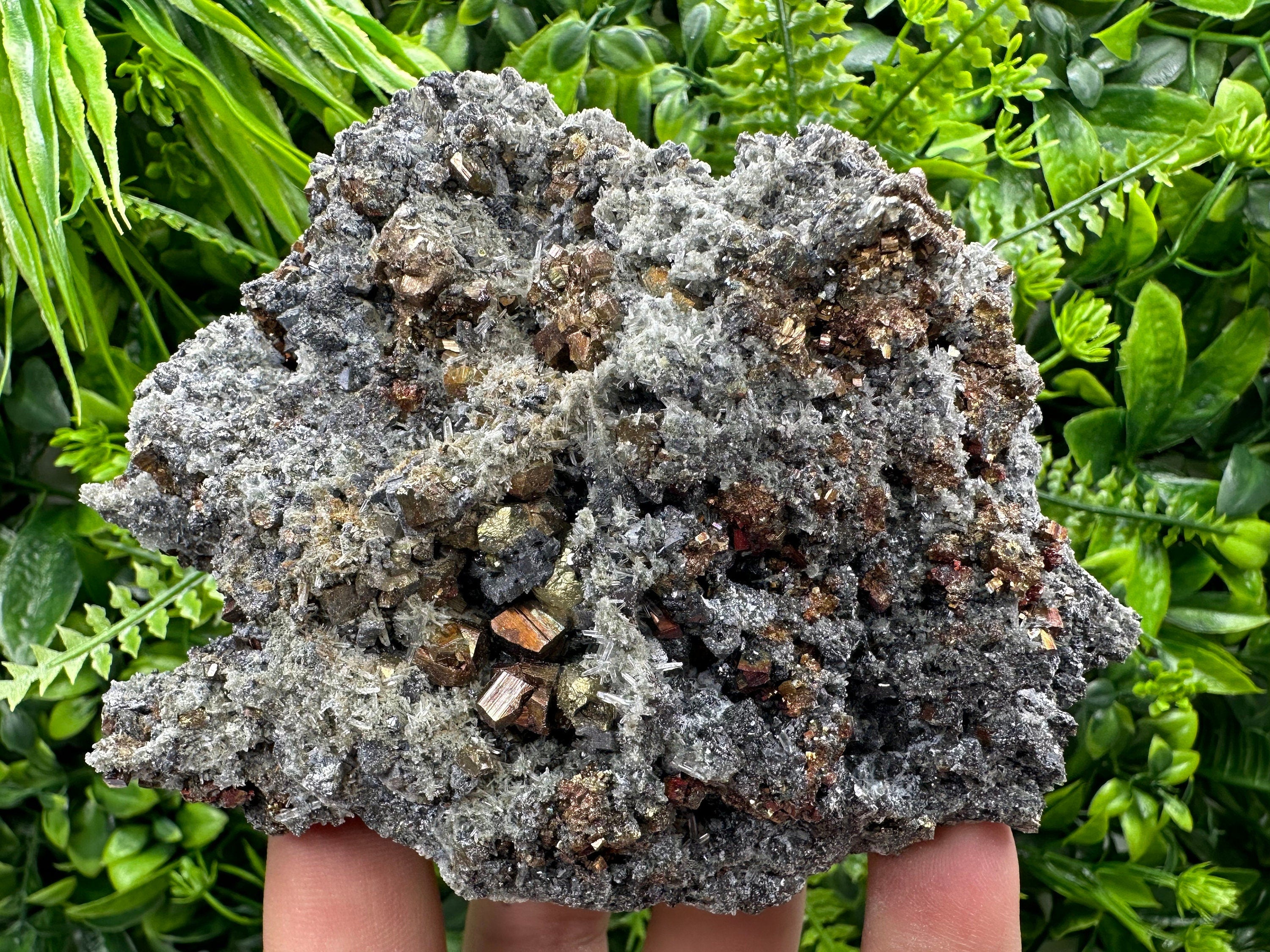 Rainbow Pyrite on Quartz with Oxide, Borieva Bulgaria Mineral Specimen