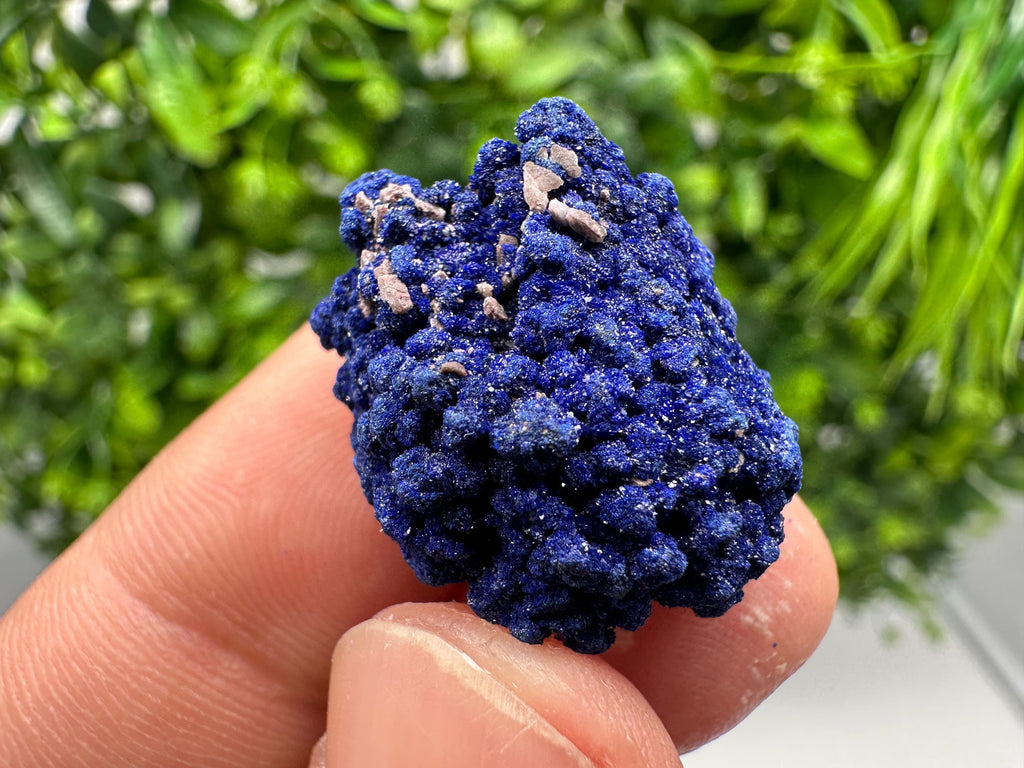 Crystallized Azurite-Kerrouchen,Morocco-Blue Azurite Specimen-High Quality Blue Azurite-Azurite Mineral Specimen, gemmy,lustrous of Azurite