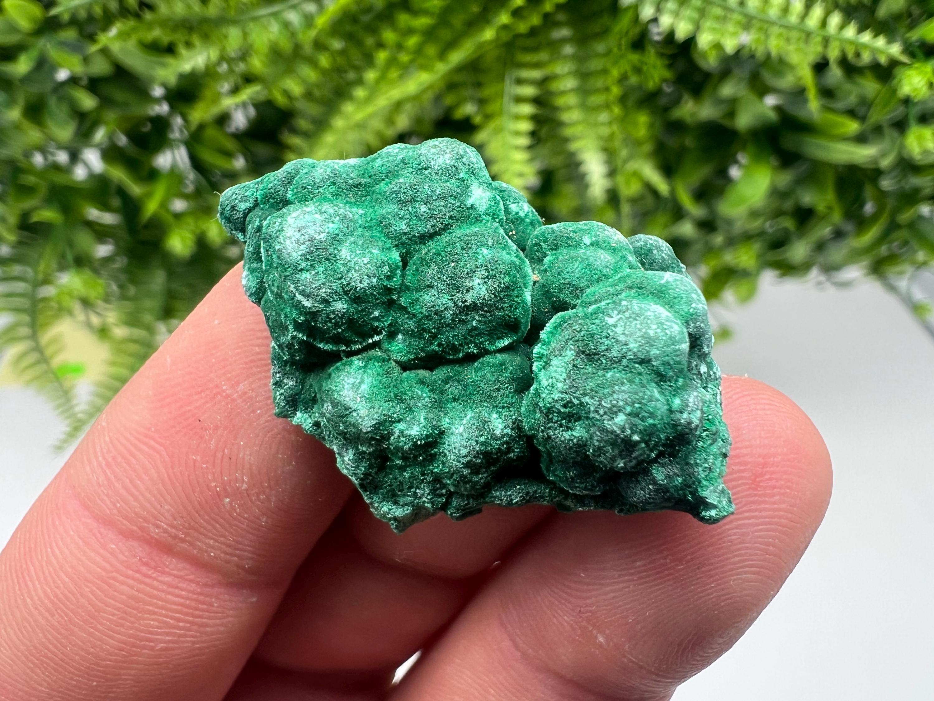 Malachite Crystal from Congo,Minerals,Crystals from Congo,Green Malachite, Malachite,Natural Malachite,Malachite Stone,Chakra, Specimens