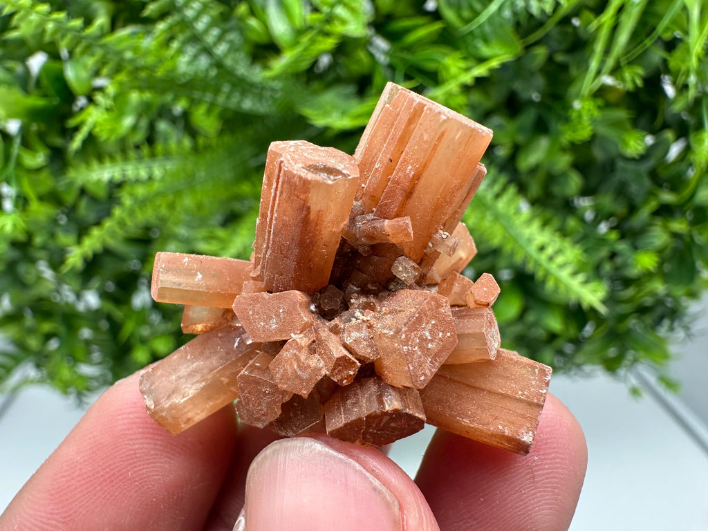 Moroccan Aragonite Sputnik Cluster: Raw Crystal Stone Decor