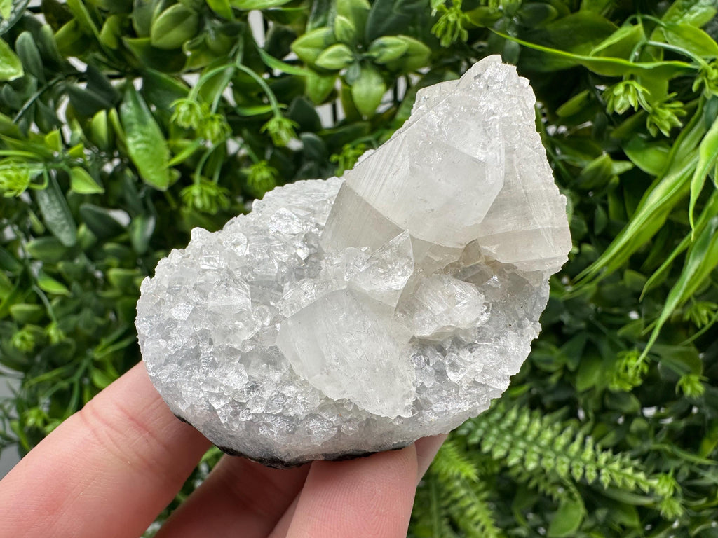 Apophyllite on Chalcedony Specimen: Transparent Crystal, India Minerals
