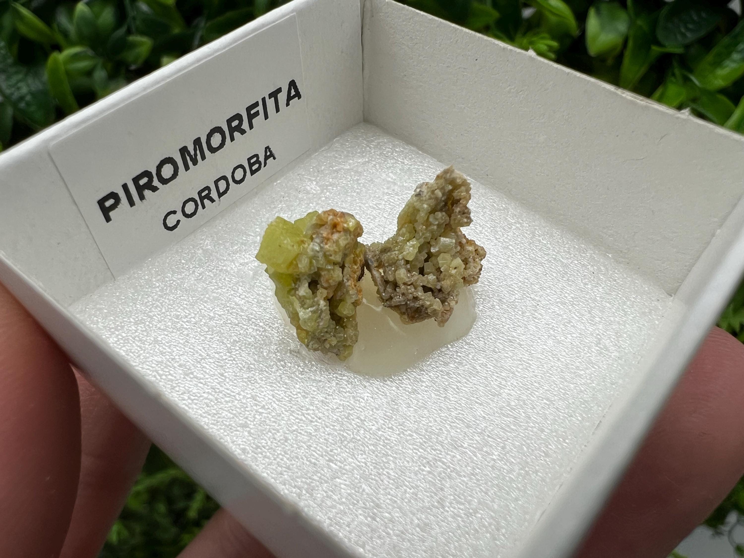 Pyromorphite Stone / Pyromorphite on Matrix / Pyromorphite Crystal / Raw Crystal / Pyromorphite Cluster / Rough Pyromorphite / Pyromorphite
