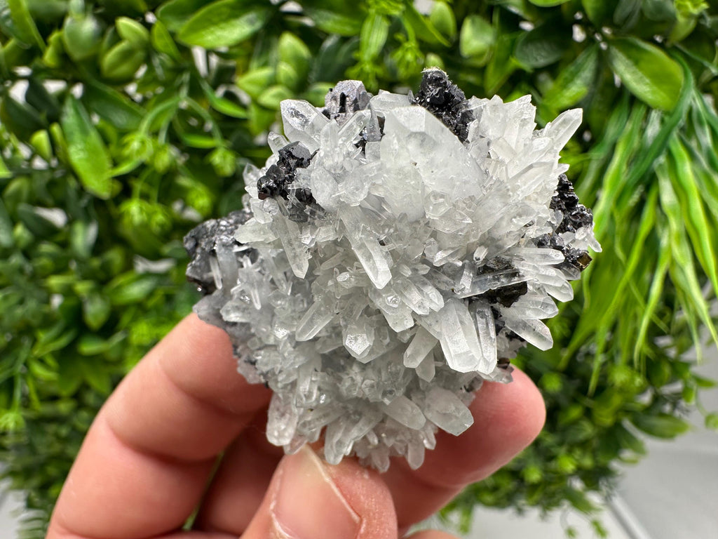 Wonderful Sphalerite Chalcopyrite on Green Quartz whit Hematite feom 9 th September mine,Bulgaria,natural,collection mineral specimen,gift