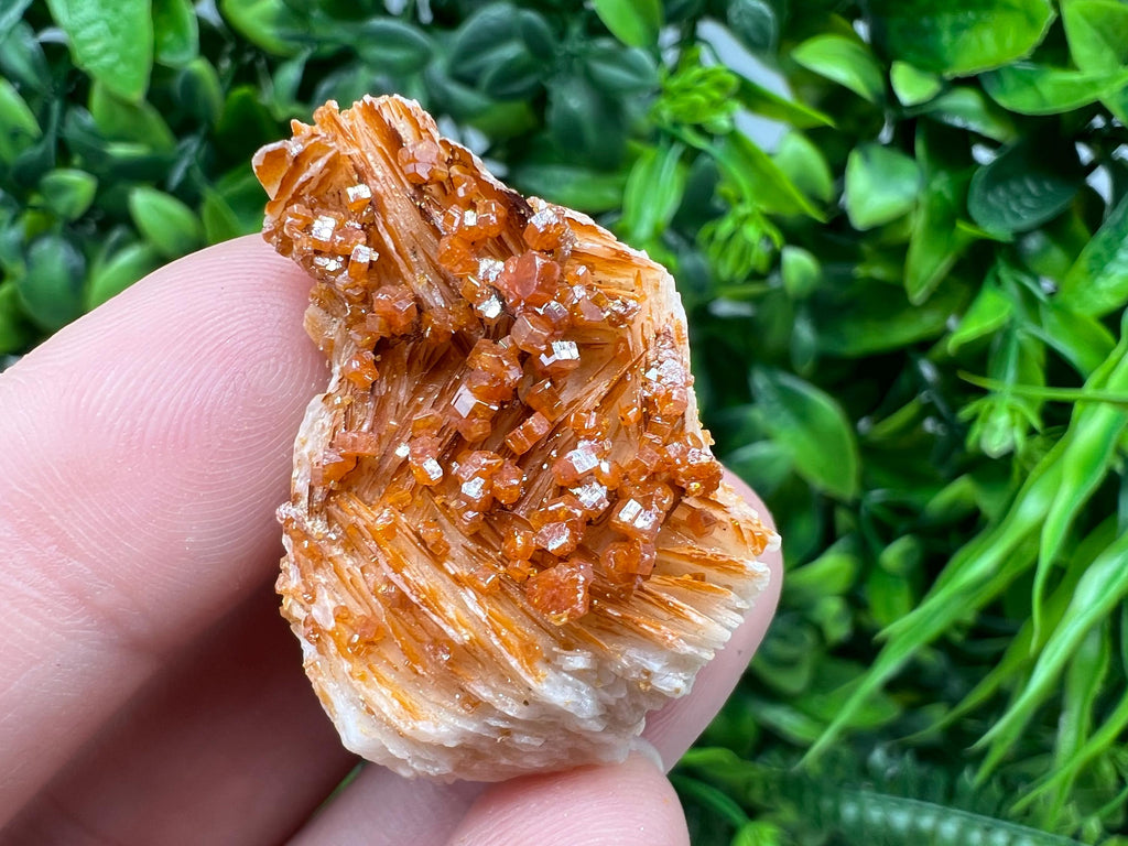 Red Vanadinite on Barite from Marocco,crystal minerals Speciment cluster Vanadinite crystal Vanadinite Geology Vanadinite cluster minerals