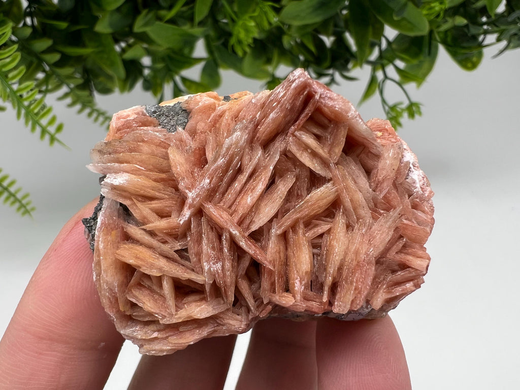Wonderful Baryte with Cerussite on Galena from Morocco,Crystal, Mineral,Specimen,Cluster,Crystals,Barite Crystal,Cerussite Crystal,Specimen