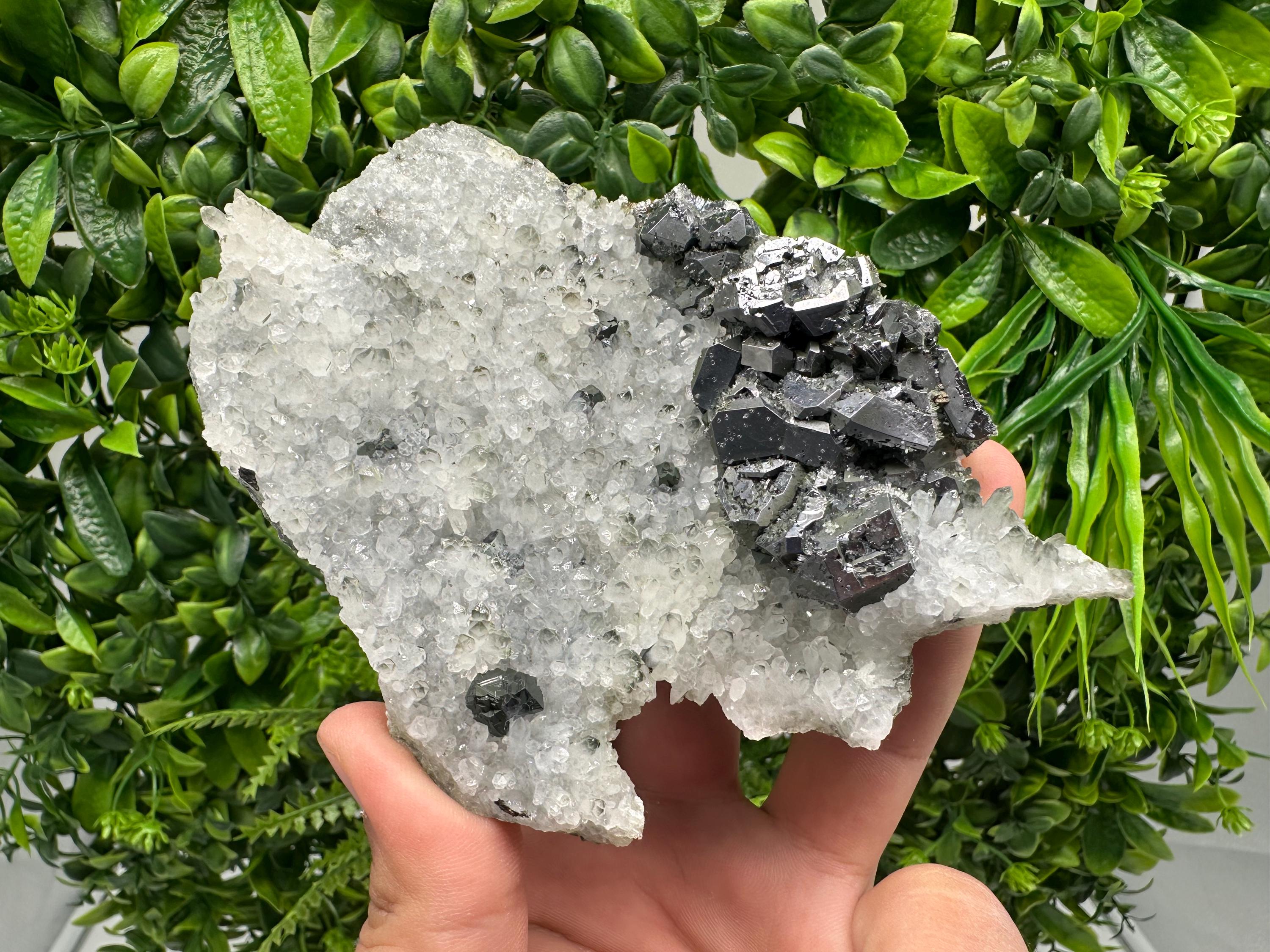 Galena on Quartz Specimen, Cleiophane Mineral, Krushev dol Mine, Bulgaria