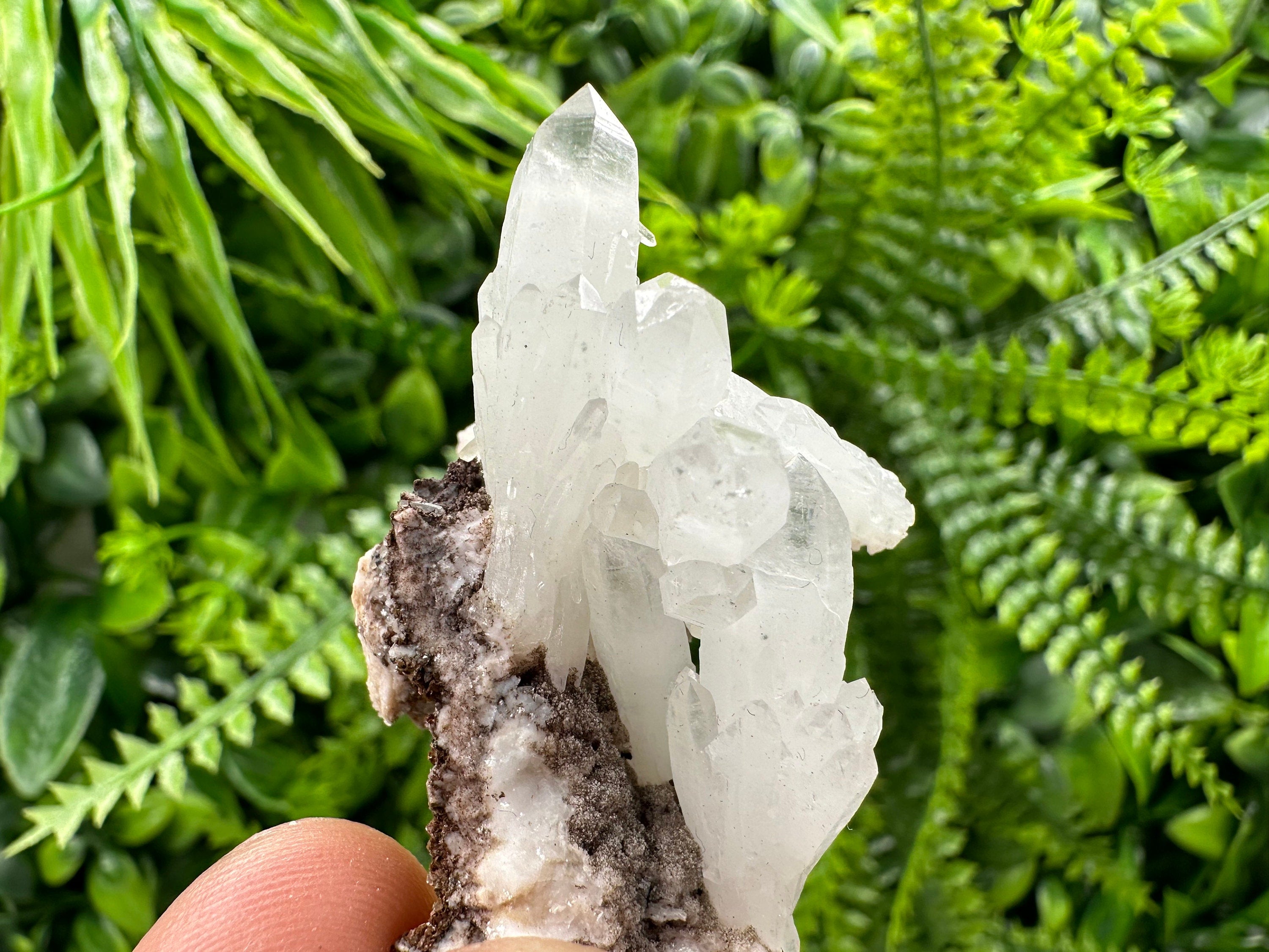 Quartz with Chlorite, Rhodochrosite and Siderite Mineral Specimen