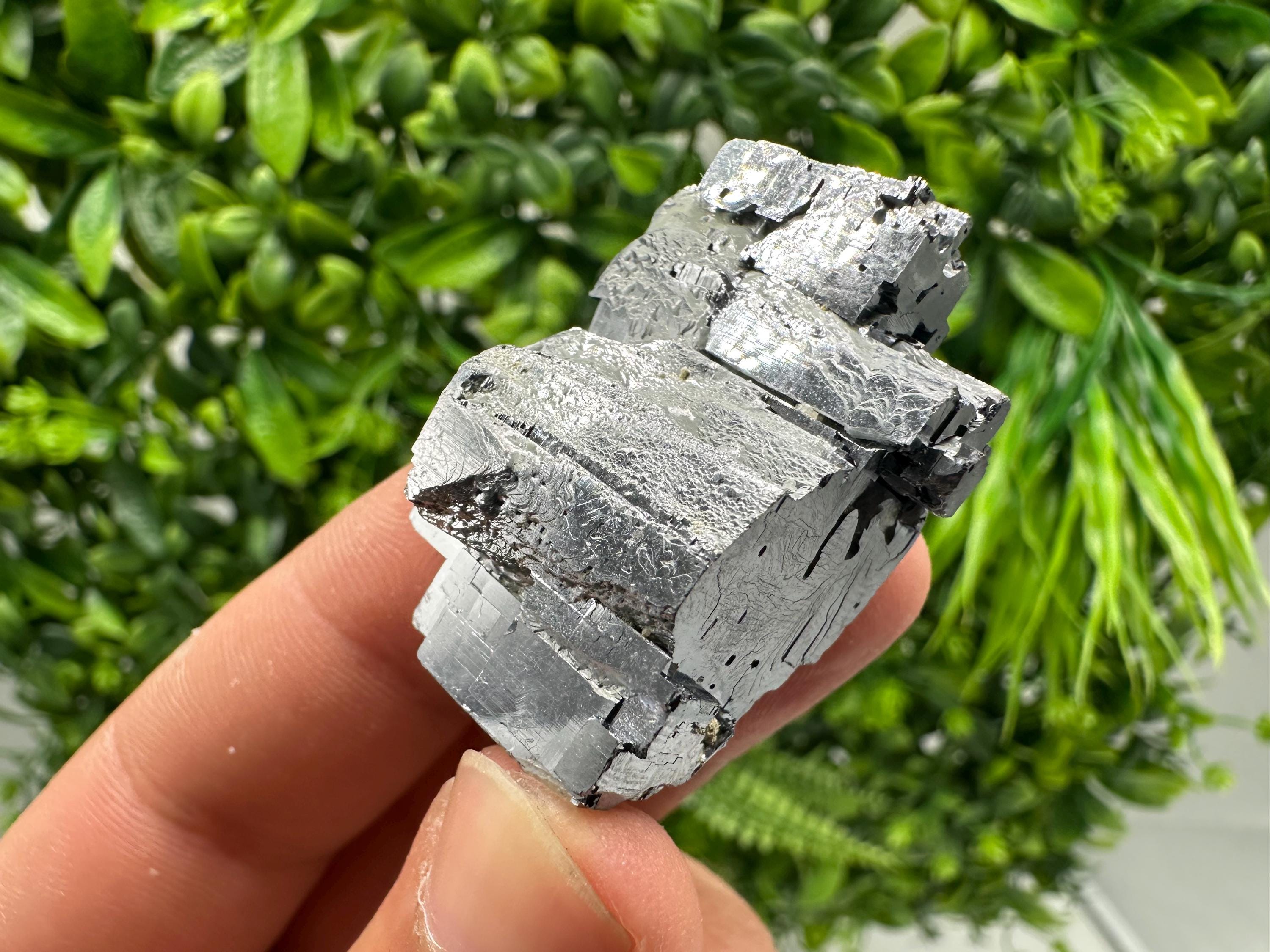Shiny Galena Cluster: Borieva Mine, Bulgaria - Natural Mineral Stone