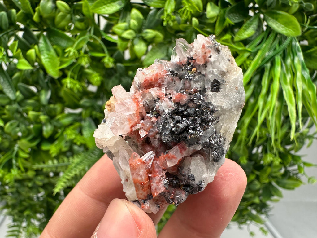 Quartz with Hematite & Iron Oxide: Collectible Mineral Specimen, 9th September Mine