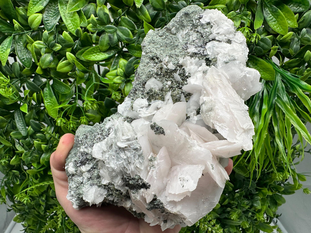 Mangano Calcite Wings on Chlorite Matrix, Bulgaria Mineral Specimen