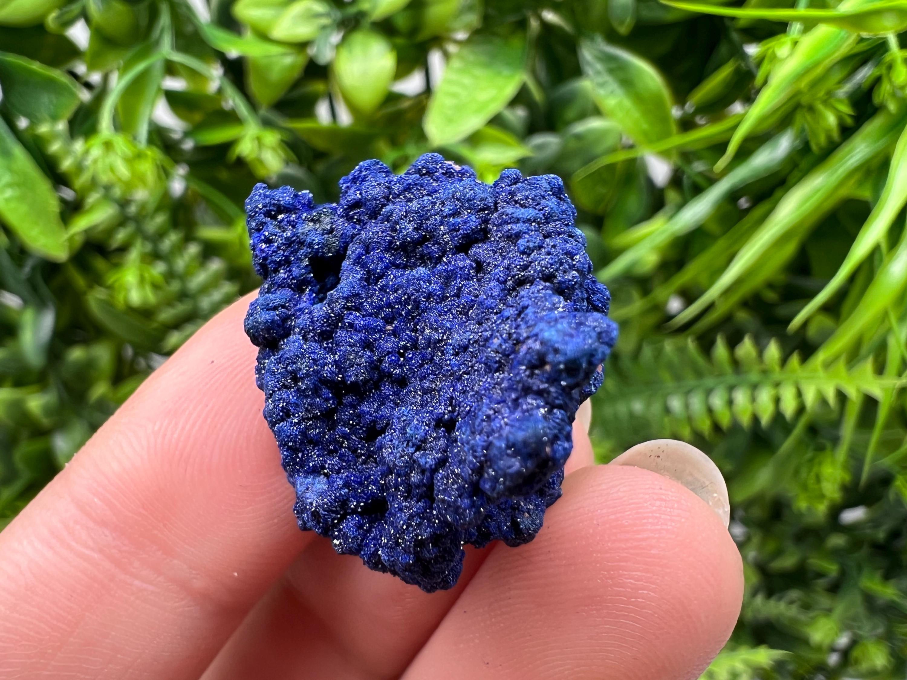 Crystallized Azurite-Kerrouchen,Morocco-Blue Azurite Specimen-High Quality Blue Azurite-Azurite Mineral Specimen, gemmy,lustrous of Azurite