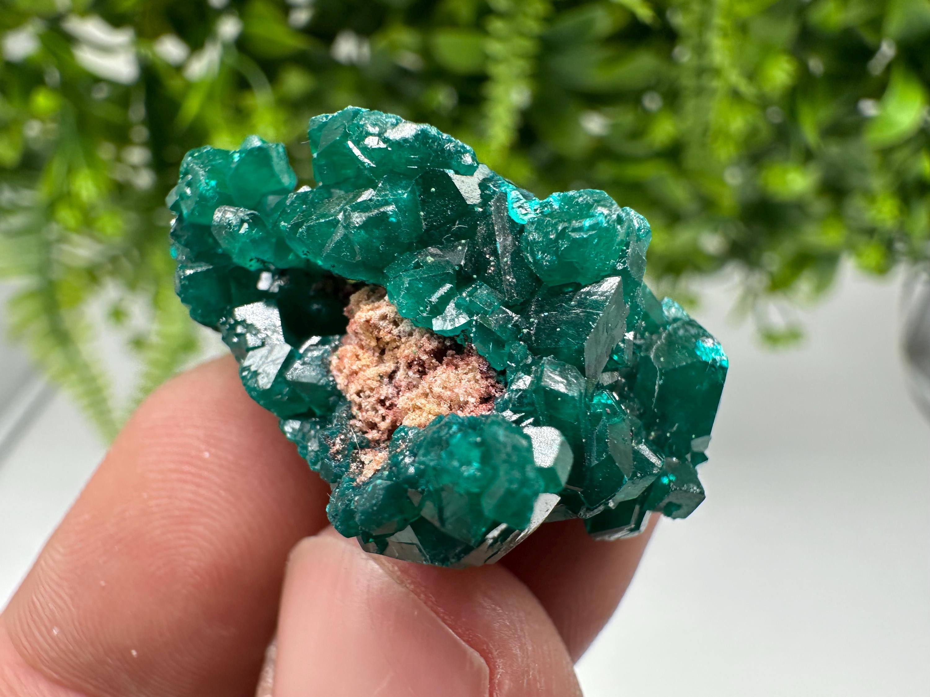 Green Dioptase Crystal Specimen, Sanda Hills Congo Mineral, Collector\'s Piece
