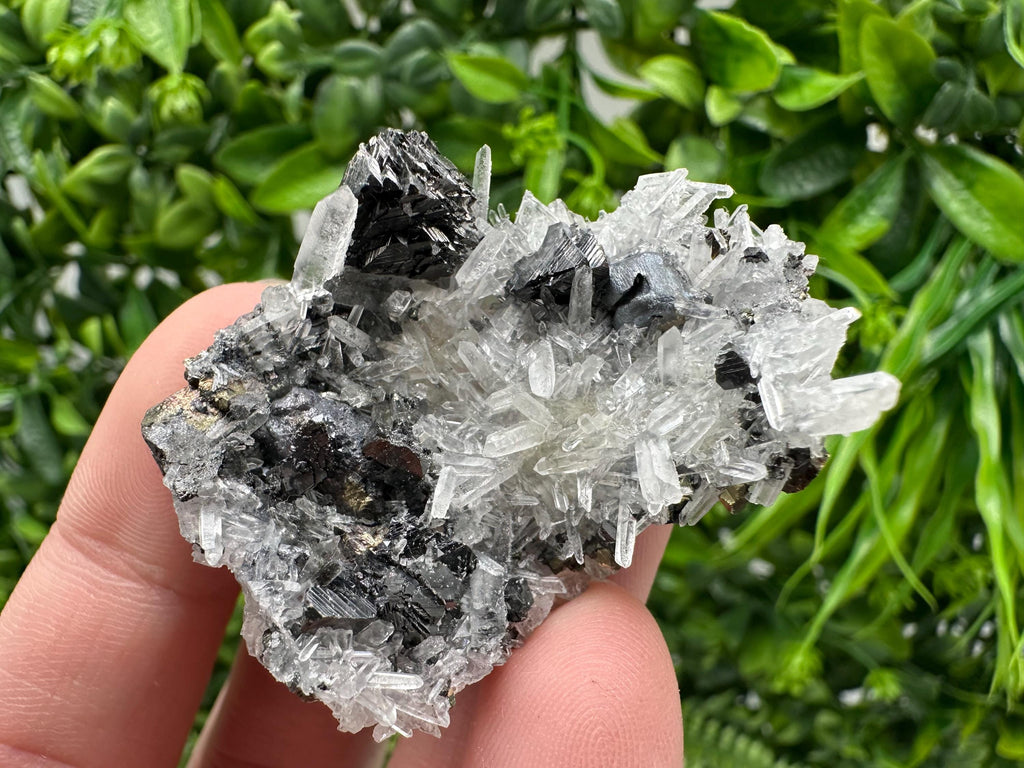 Wonderful Sphalerite Chalcopyrite on  Quartz whit Galena feom 9 th September mine,Bulgaria,natural,collection mineral specimen,gift