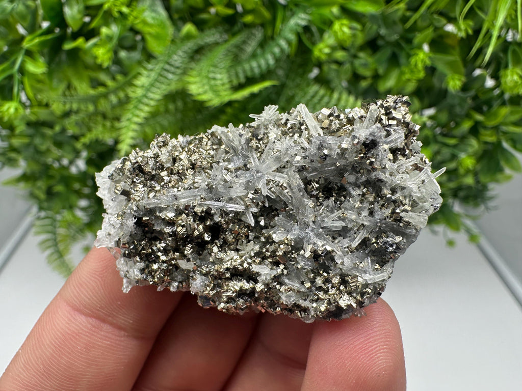 Pyrite on Green Quartz Mineral Specimen, Borieva Mine Bulgaria