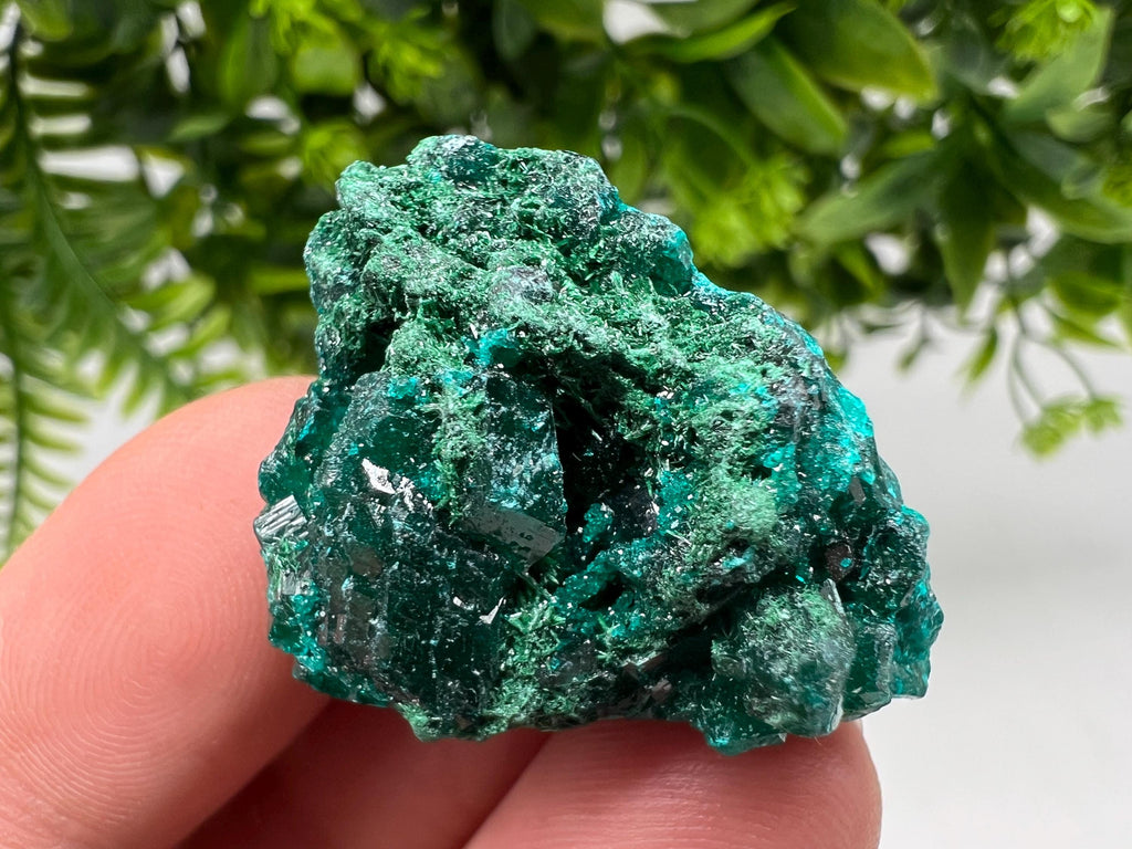Stunning Green Dioptase from Sanda Hills,Mindouli,Pool Department,Mindouli District,Congo,green Dioptase,Dioptas Crystal,Dioptase collecting