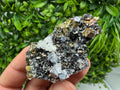 Pyrite Sphalerite Quartz  Mineral Specimen, Krushev dol Mine
