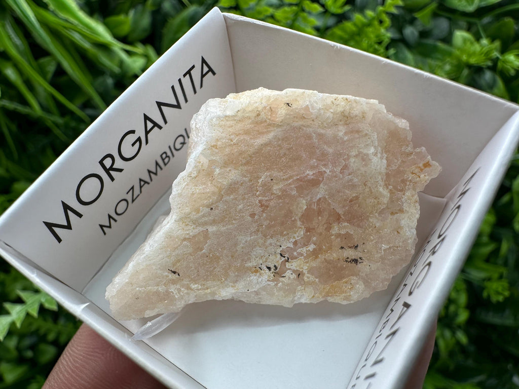 Rare Raw Morganite Specimen: Mozambique Crystal Collection (5/2.5 cm)