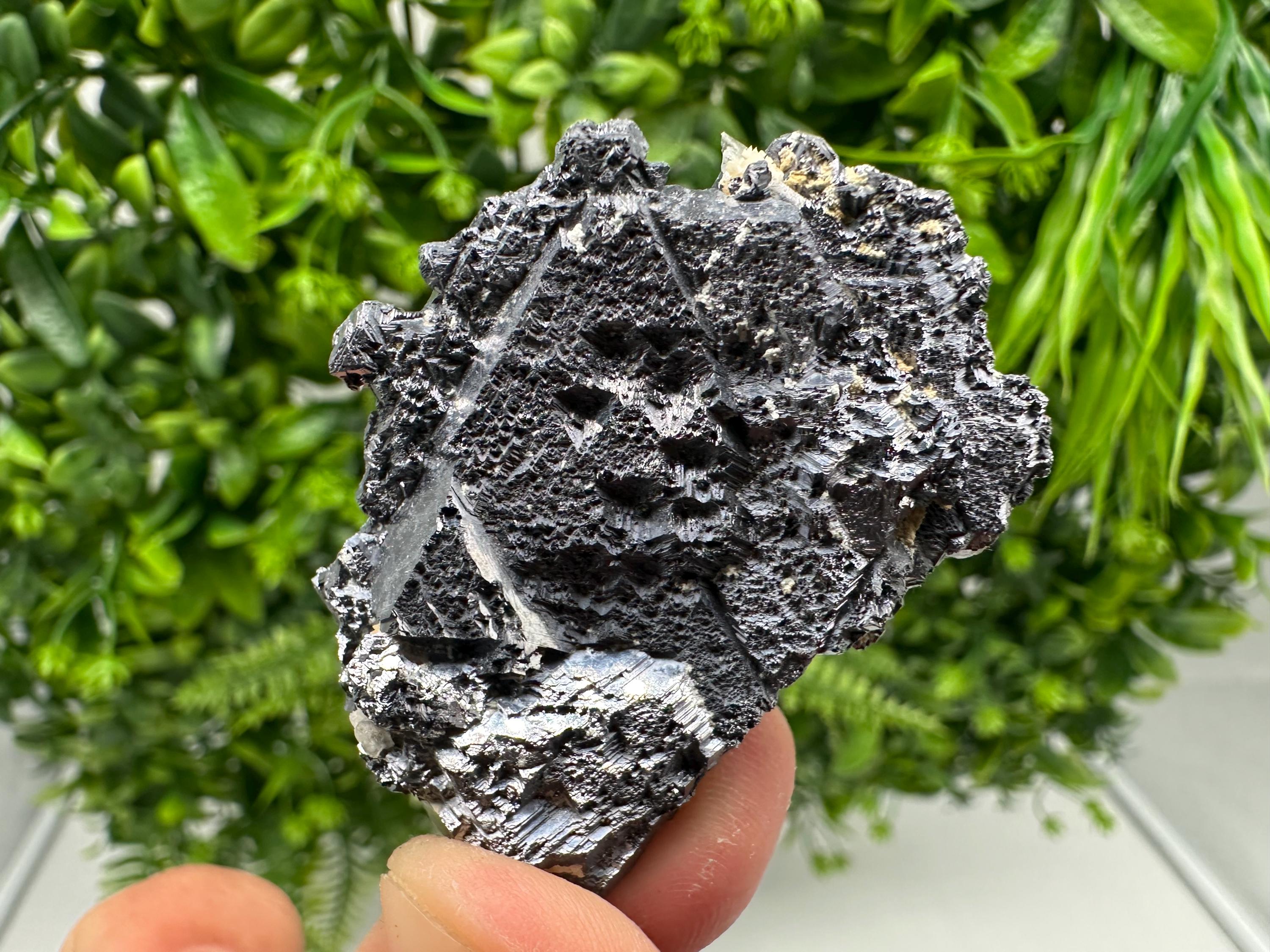 Galena Spinel Law Mineral Specimen: Krushev Dol, Bulgaria