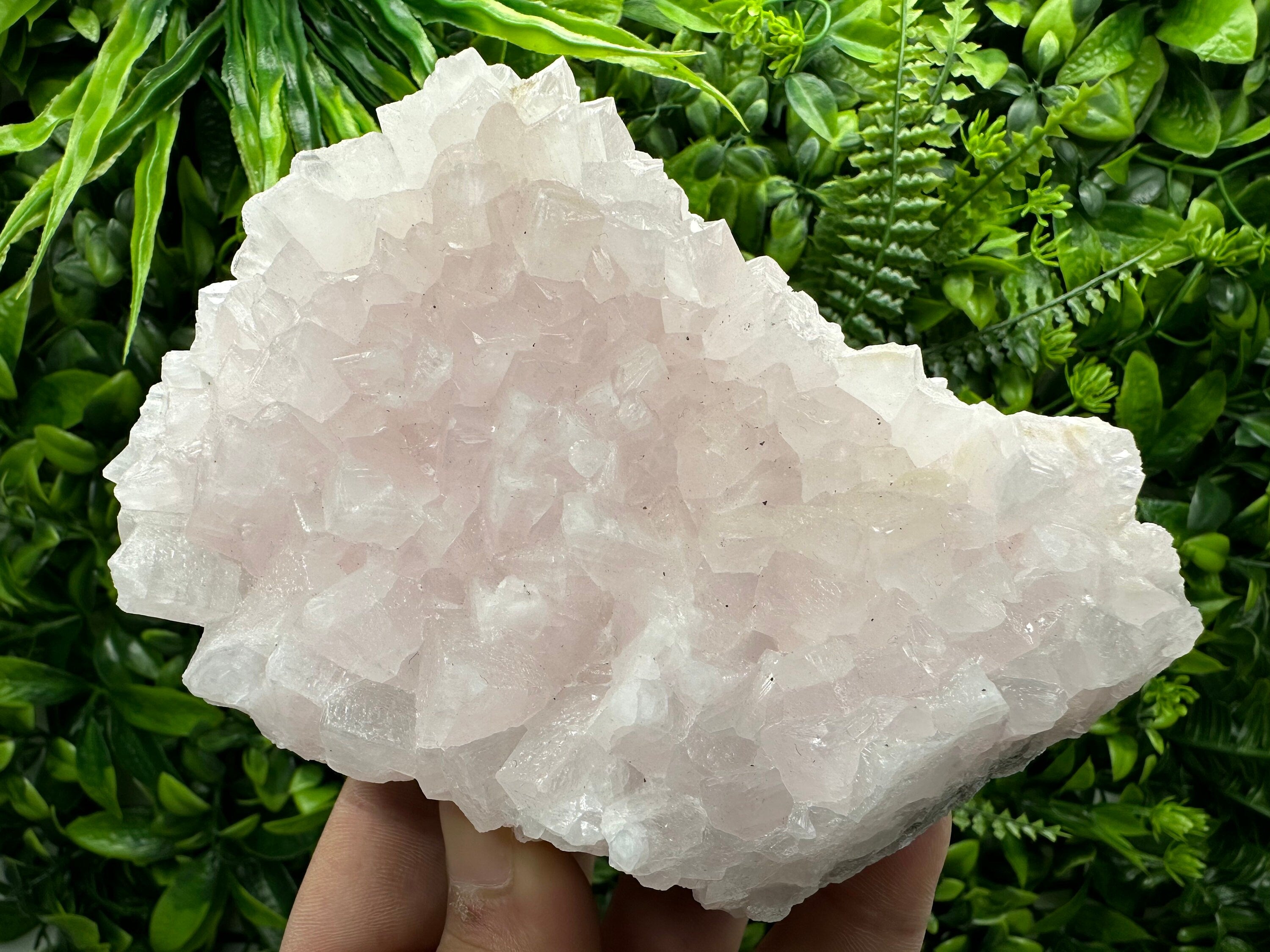 UV Reactive Mangano Calcite, Androvo Mine Bulgaria, Mineral Specimen