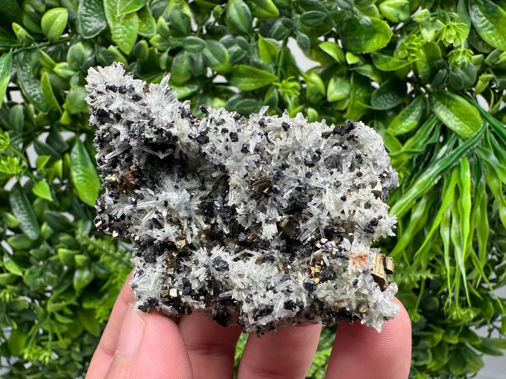 Pyrite on Needle Quartz, Madan Bulgaria, Mineral Specimen