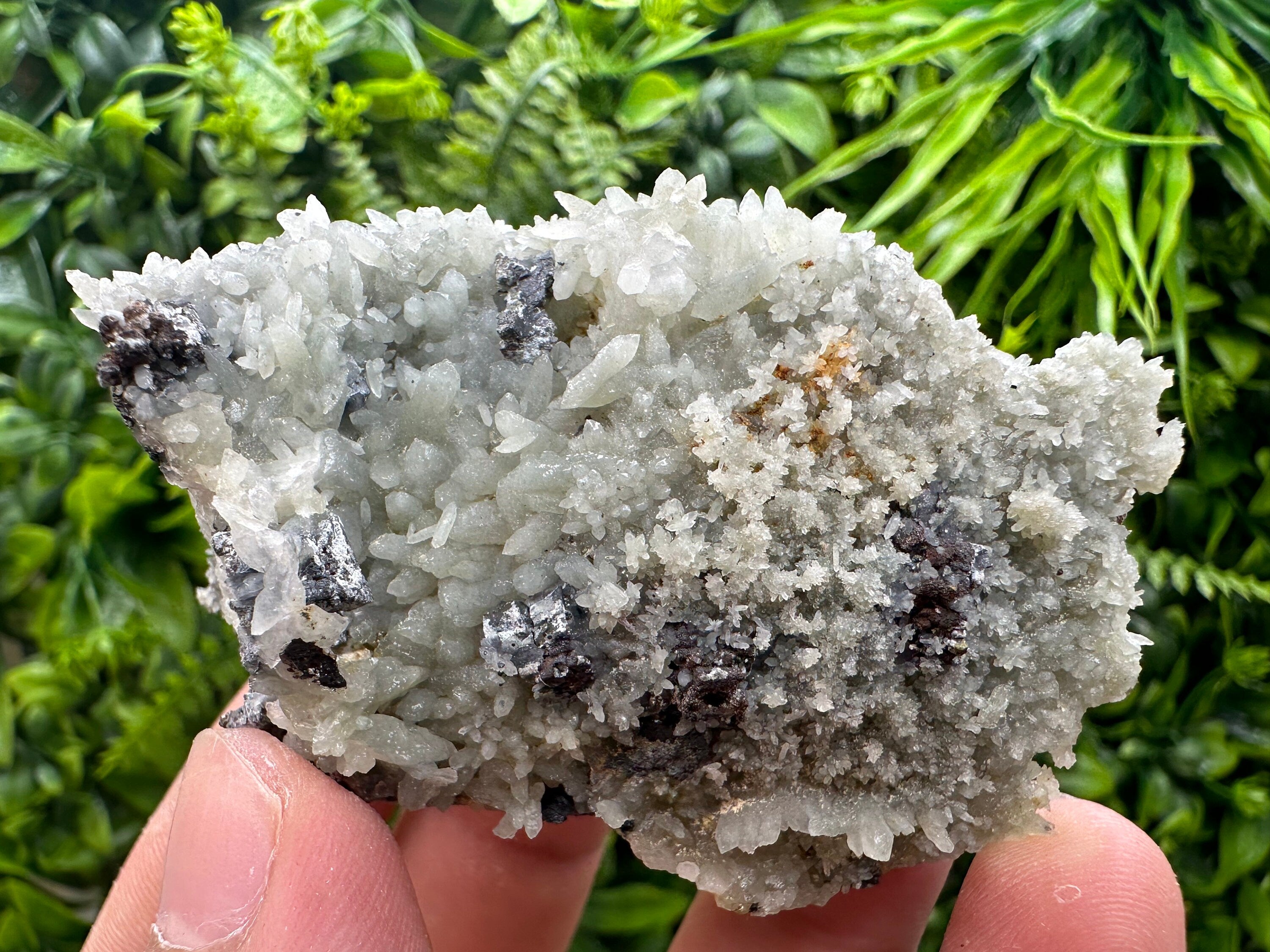 Chalcopyrite on Green Quartz: Madan Bulgaria Crystal Decor