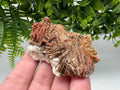 Red Vanadinite on Barite from Marocco,crystal minerals Speciment cluster Vanadinite crystal Vanadinite Geology Vanadinite cluster minerals