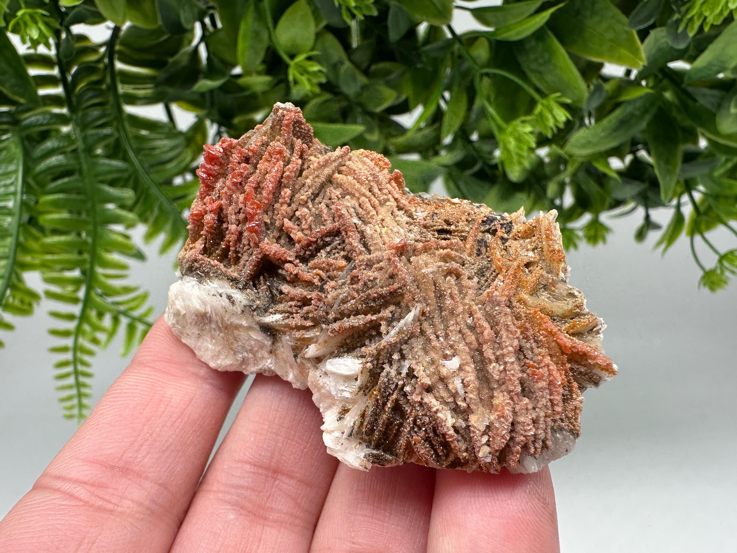 Red Vanadinite on Barite from Marocco,crystal minerals Speciment cluster Vanadinite crystal Vanadinite Geology Vanadinite cluster minerals