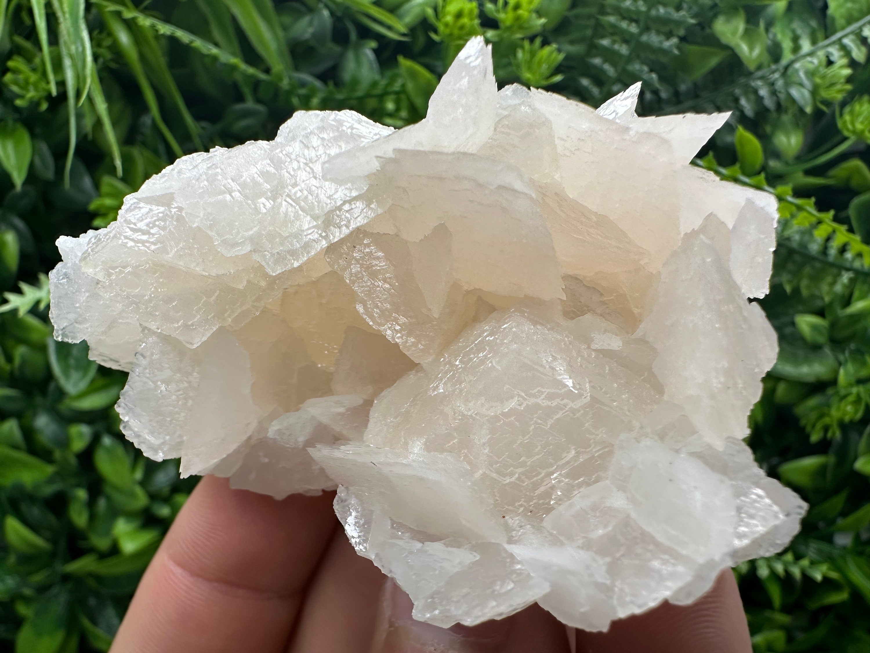 Rare Mangano Calcite Cluster: Borieva Mine, Bulgaria