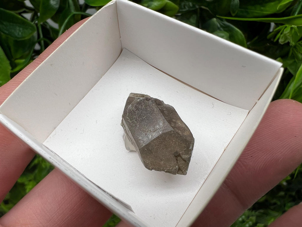 Rare Smoky Quartz Point, Fedenstock Switzerland Mineral Specimen (25MM)