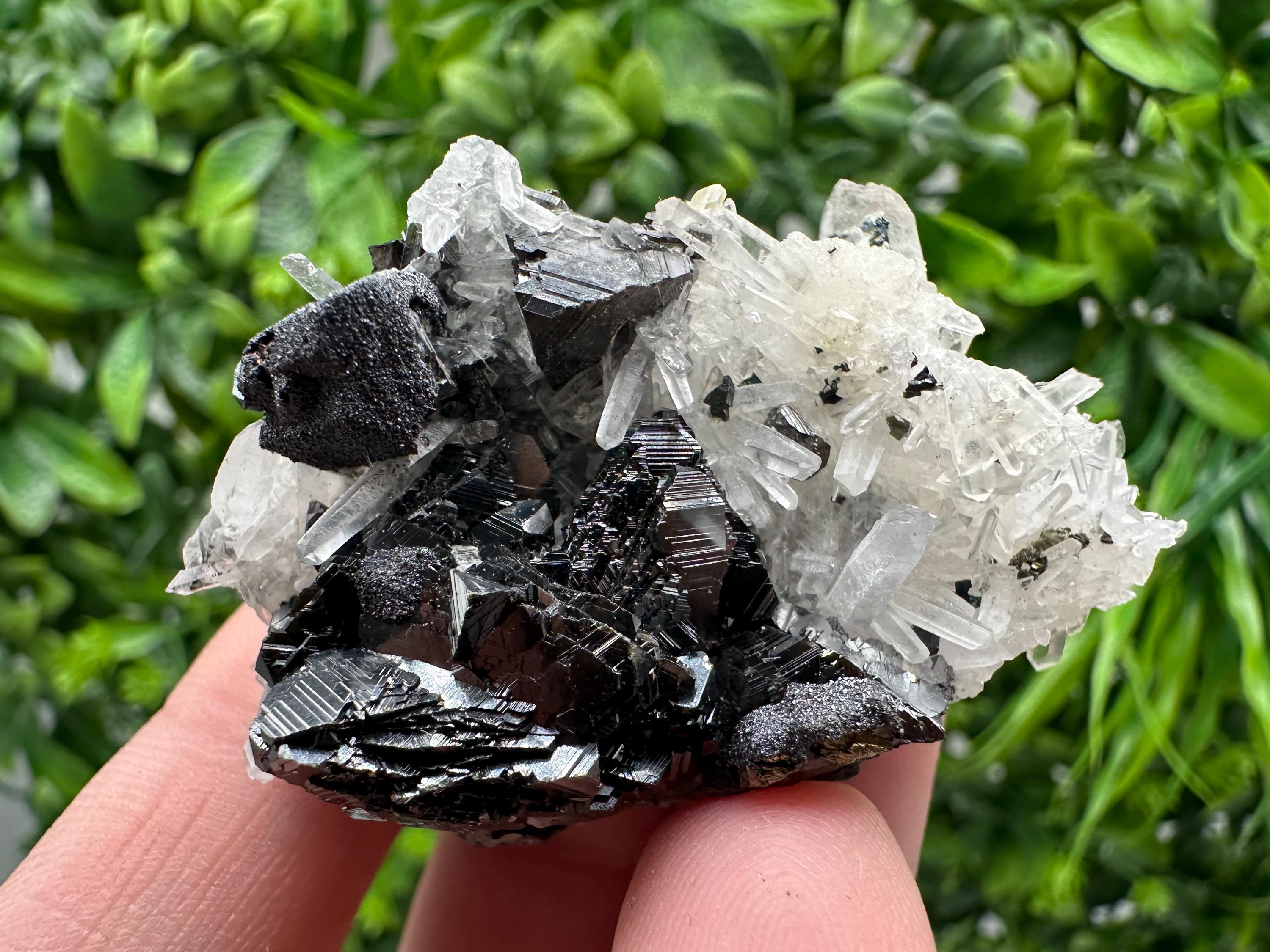 Wonderful Sphalerite Chalcopyrite on  Quartz whit Galena feom 9 th September mine,Bulgaria,natural,collection mineral specimen,gift
