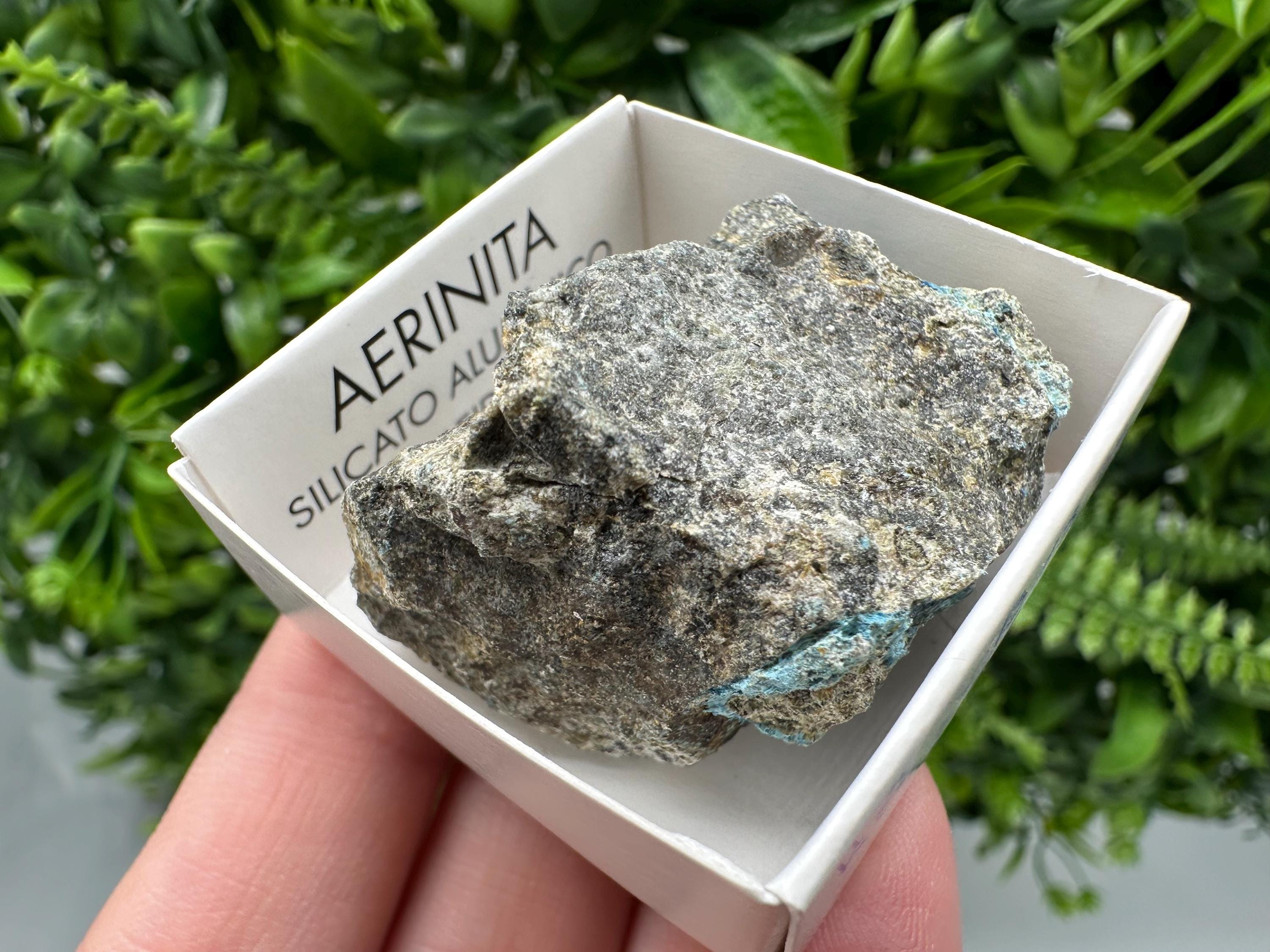 Rare Raw Aerinite Mineral Specimen: Lleida, Spain Crystal