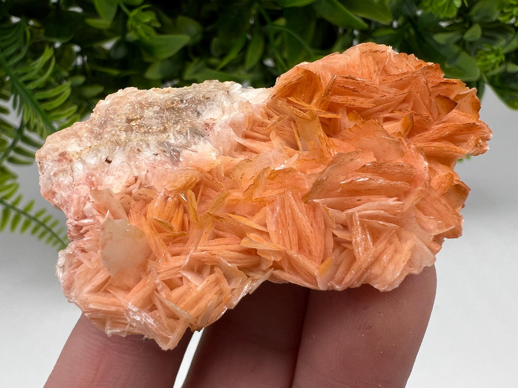 Wonderful Baryte with Cerussite on Galena from Morocco,Crystal, Mineral,Specimen,Cluster,Crystals,Barite Crystal,Cerussite Crystal,Specimen