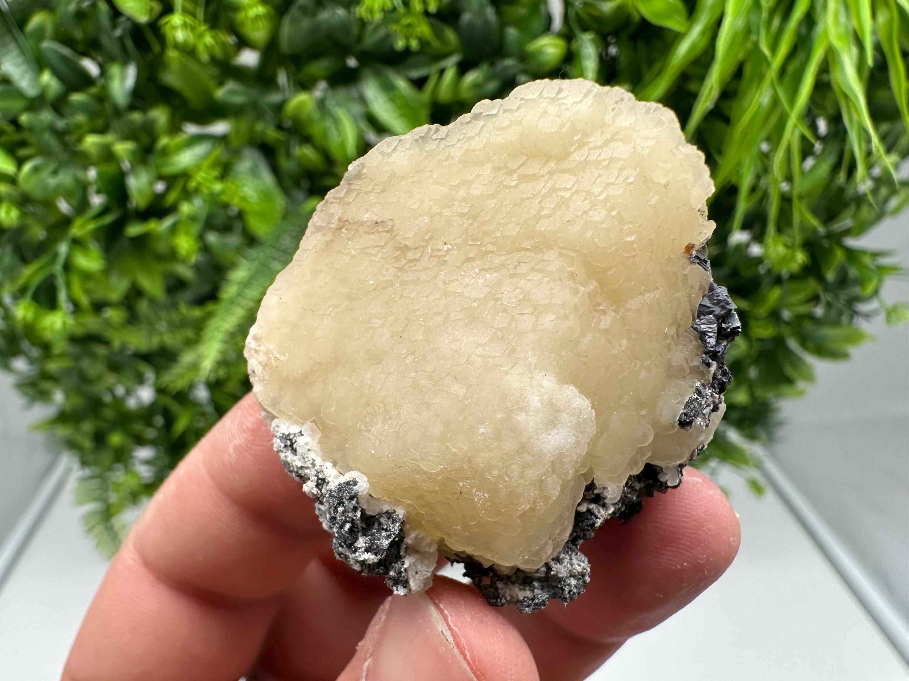 Wonderful and Rare Calcite on Matrix,from 9th September mine,Bulgaria,natural minerals souvenir,gift,home decor,collection Calcite cluster