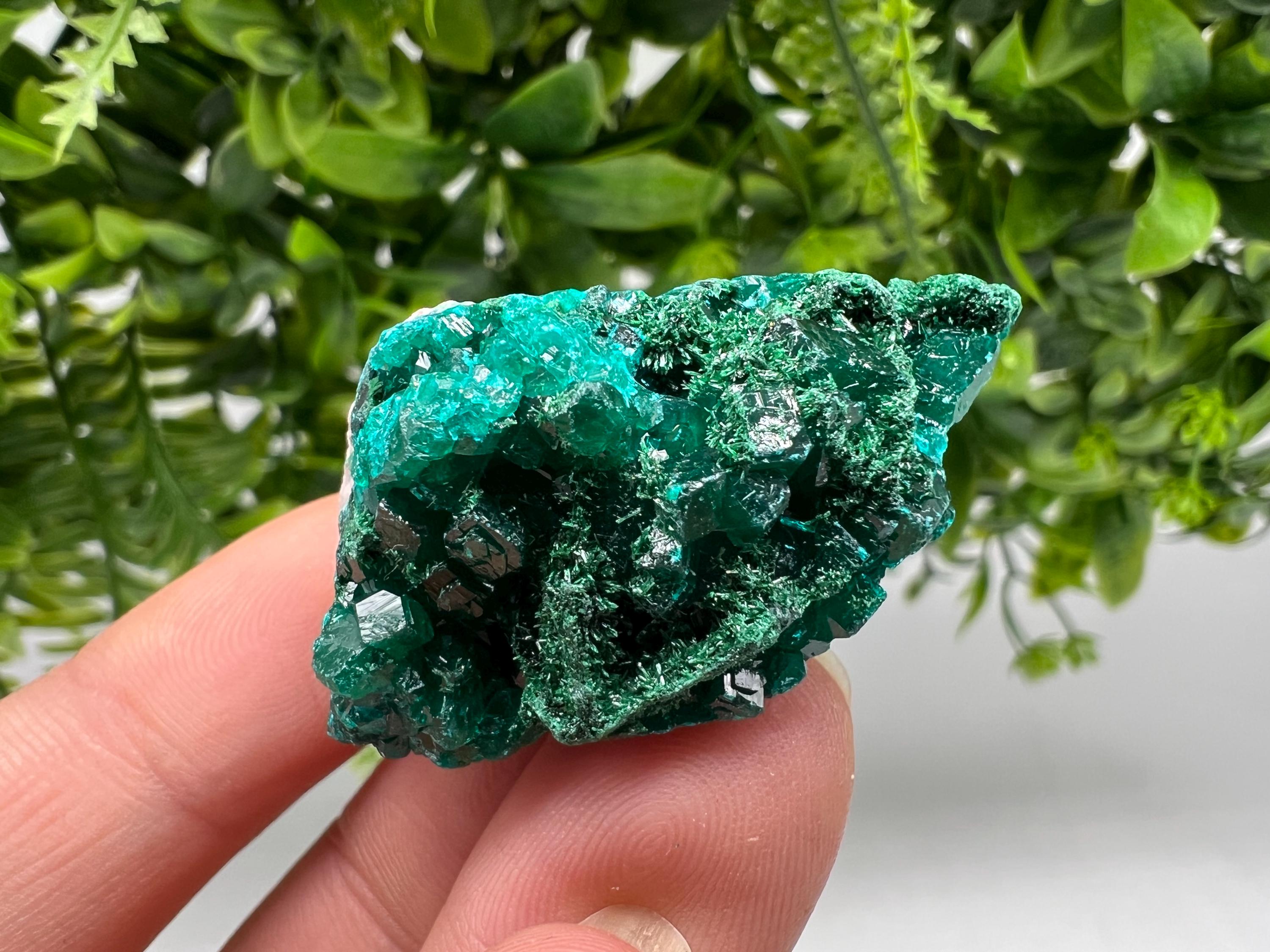 Stunning Green Dioptase from Sanda Hills,Mindouli,Pool Department,Mindouli District,Congo,green Dioptase,Dioptas Crystal,Dioptase collecting