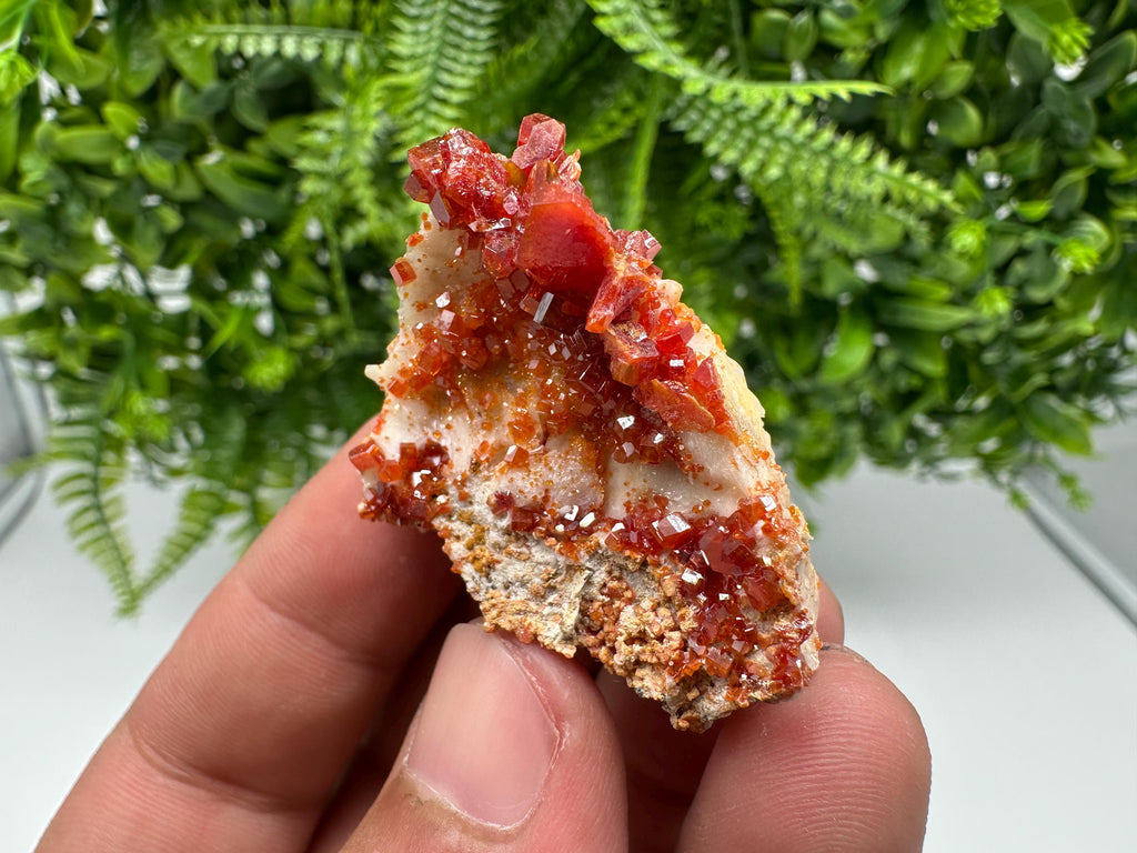 Red Vanadinite on Barite, Morocco Crystal Cluster