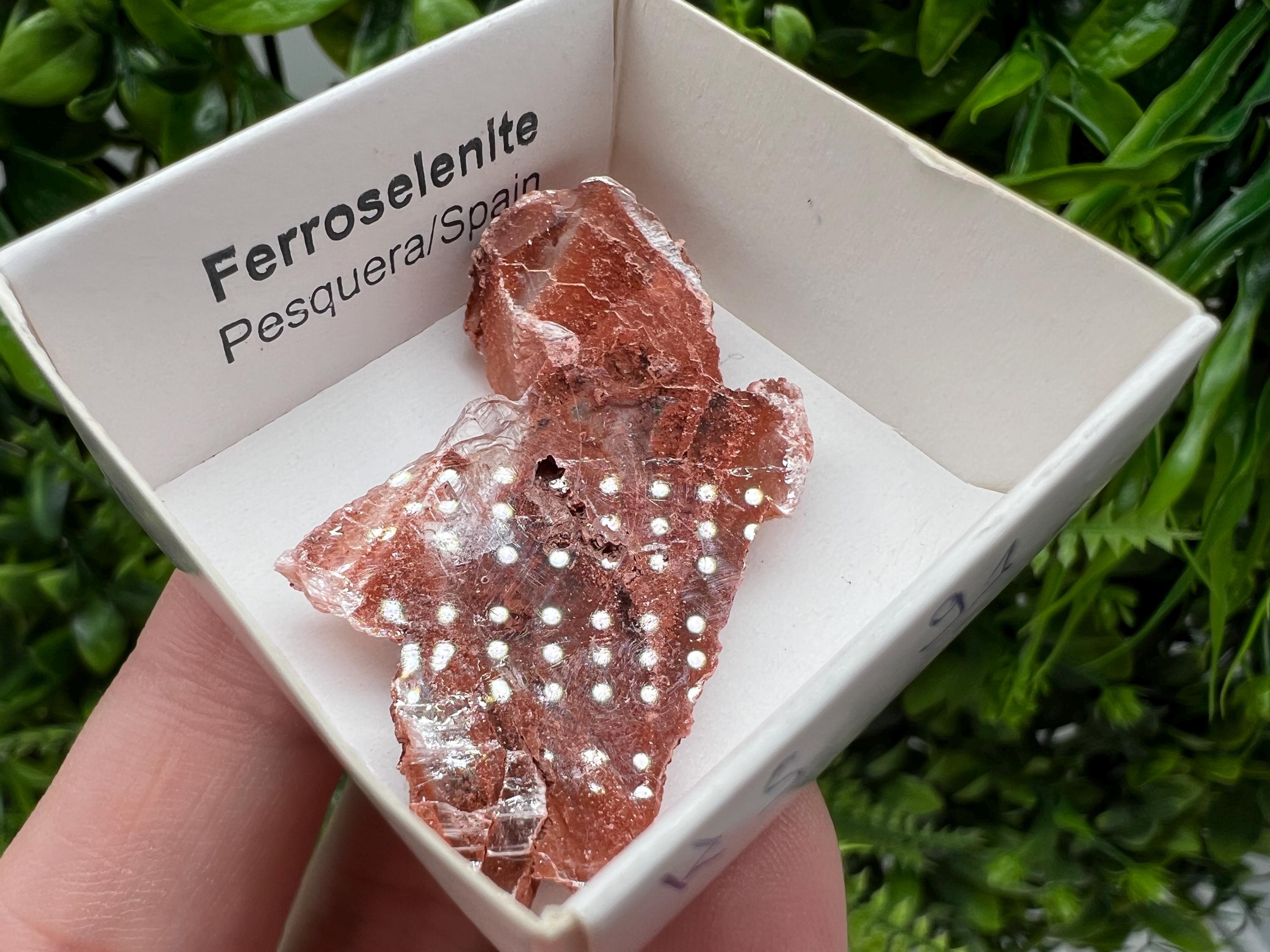 Rare Ferroselenite Mineral Specimen, La Pesquera Spain