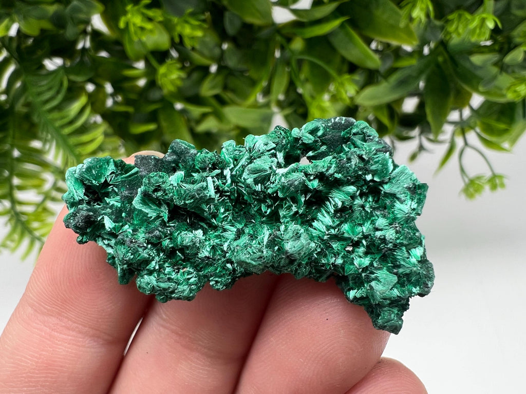 Malachite Crystal from Congo,Minerals,Crystals from Congo,Green Malachite, Malachite,Natural Malachite,Malachite Stone,Chakra, Specimens