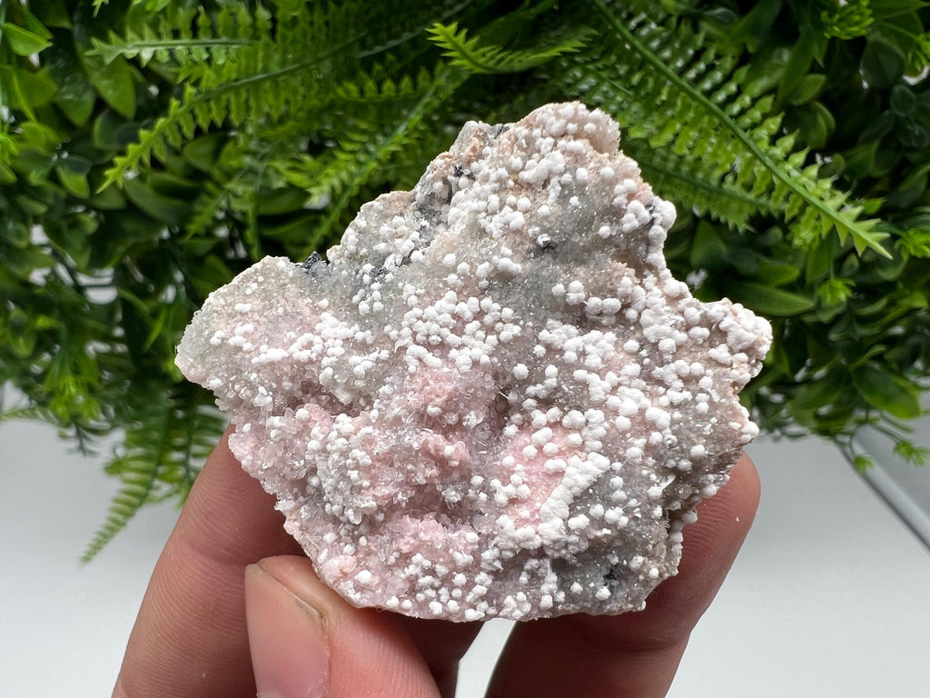RARE Rhodochrosite with White Calcite, Starnica Mine, Bulgaria