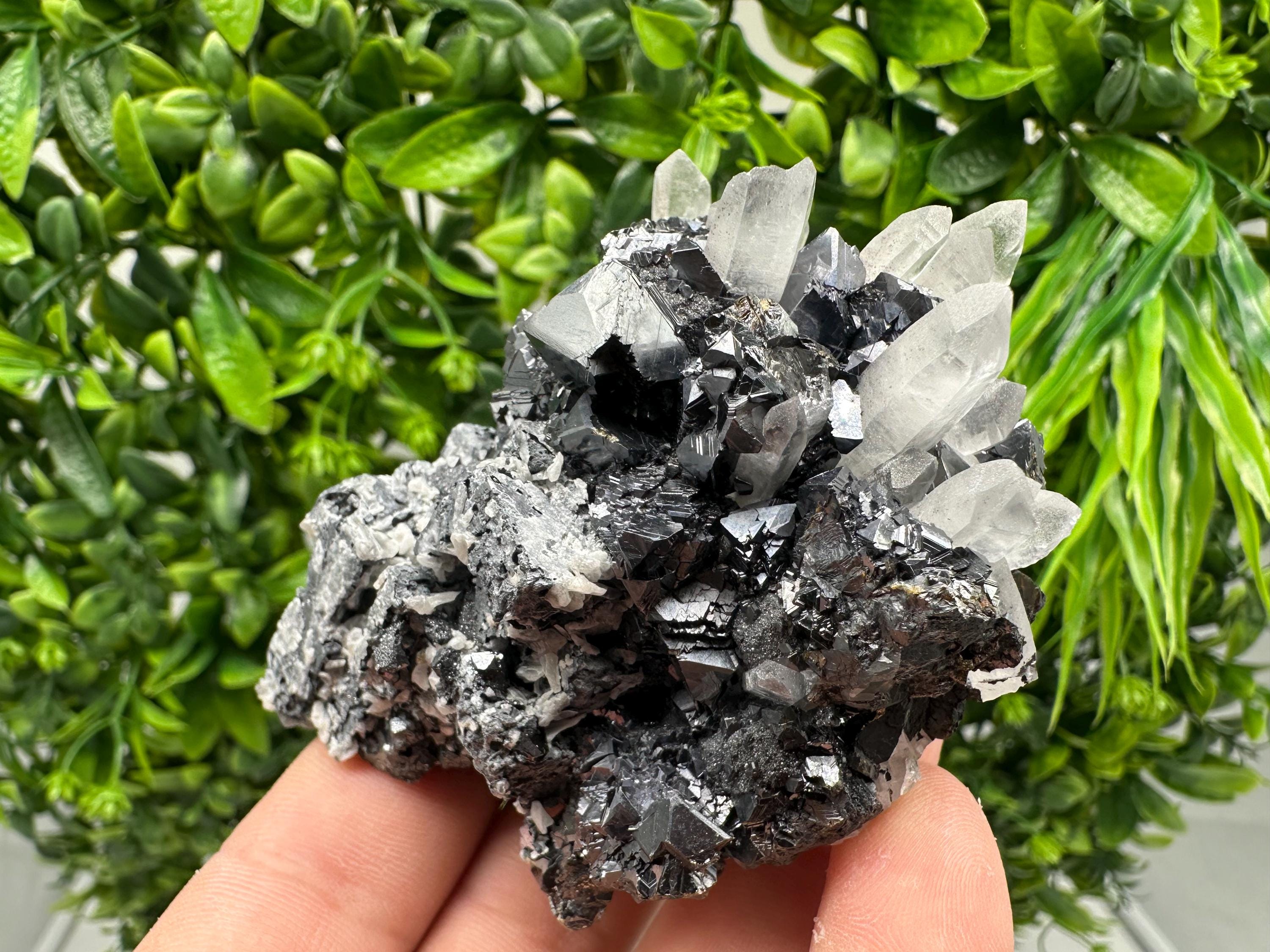 Wonderful Sphalerite Chalcopyrite on  Quartz whit Galena feom 9 th September mine,Bulgaria,natural,collection mineral specimen,gift
