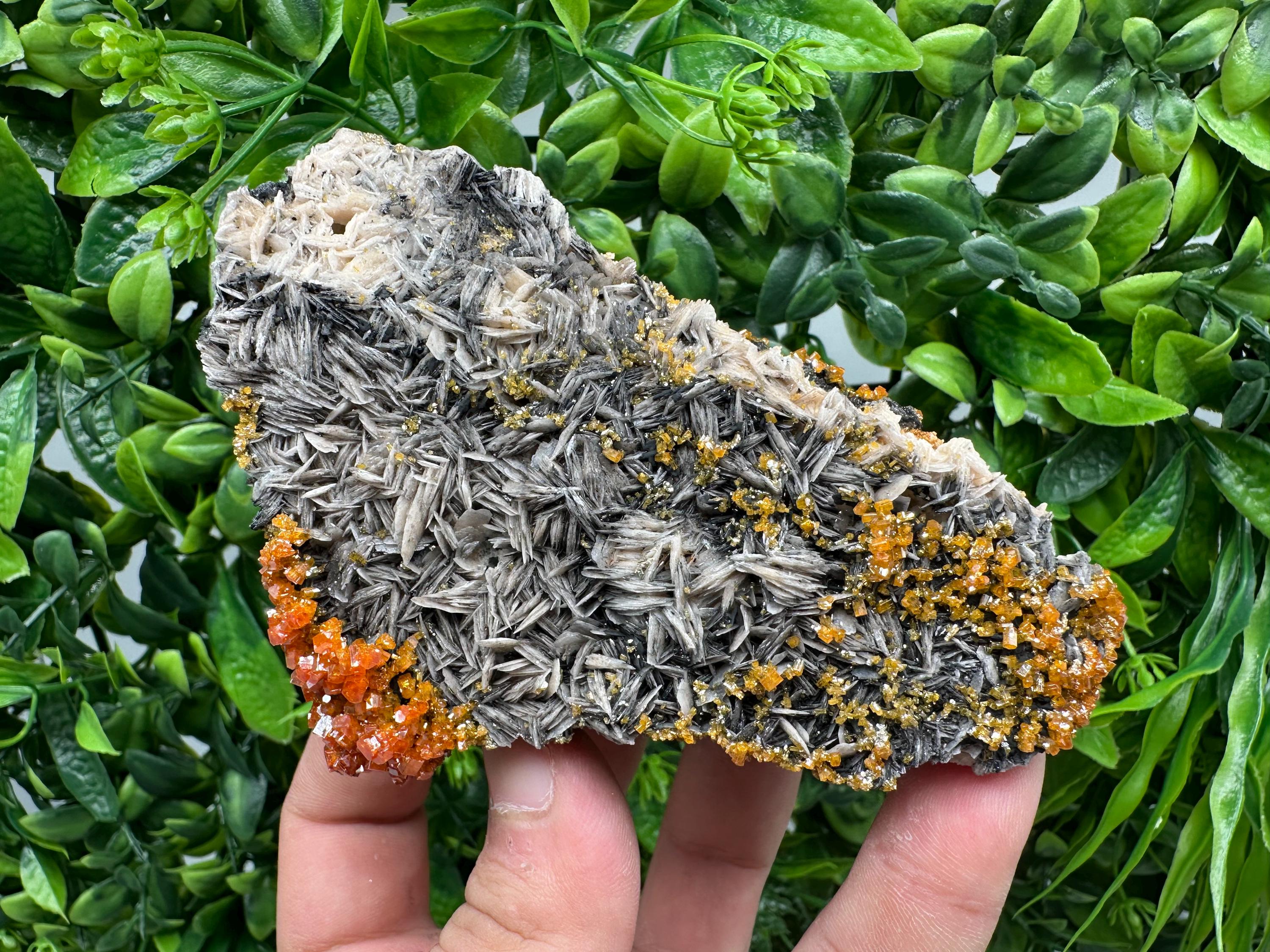 Red Vanadinite Crystal Cluster on Barite with Goethite, Morocco