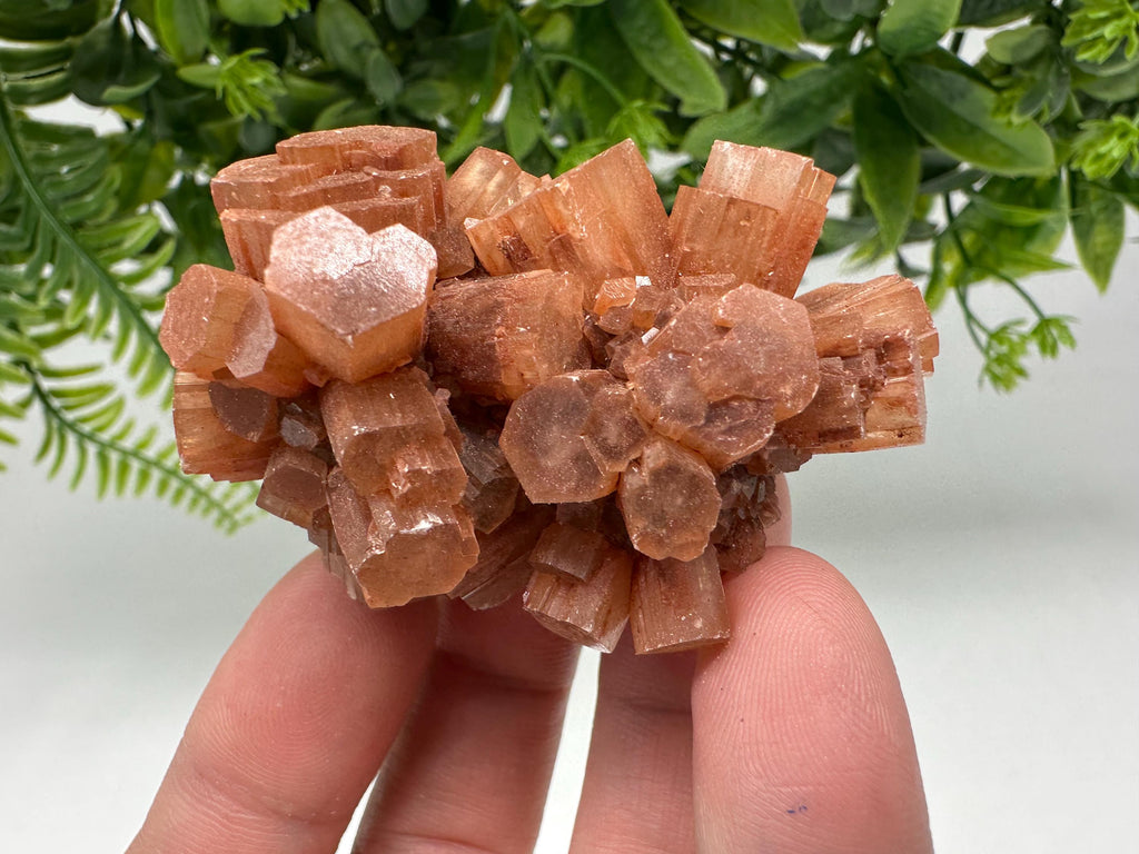 Aragonite Sputnik Cluster: Raw Moroccan Crystal Stone, Home Decor