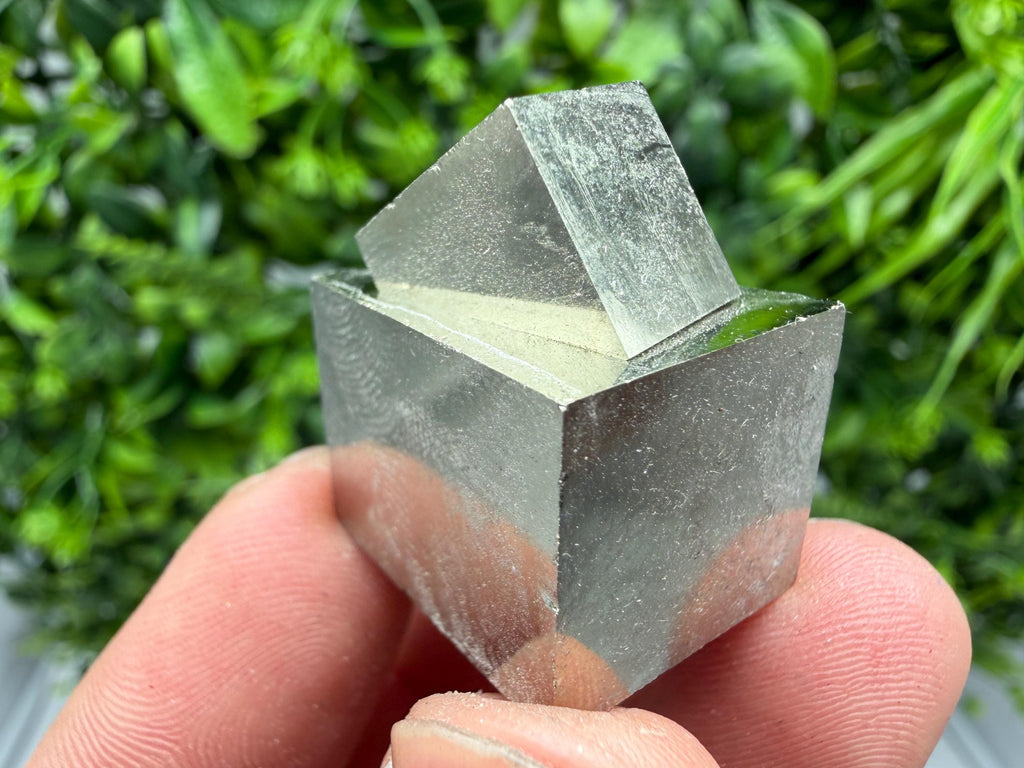 Interjoined Pyrite Cube, Shiny Home Decor Stone, La Rioja Spain