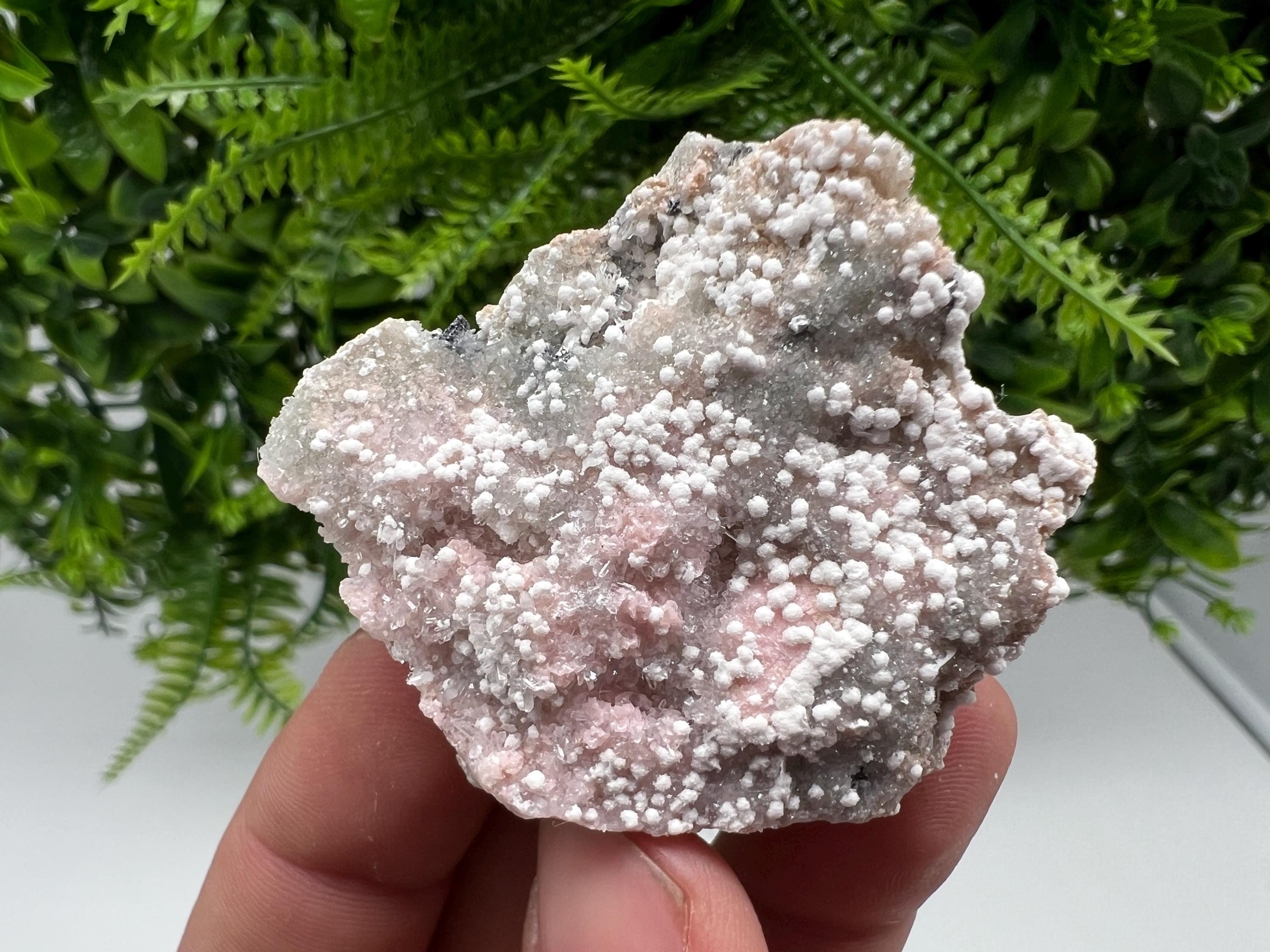RARE Rhodochrosite with White Calcite, Starnica Mine, Bulgaria