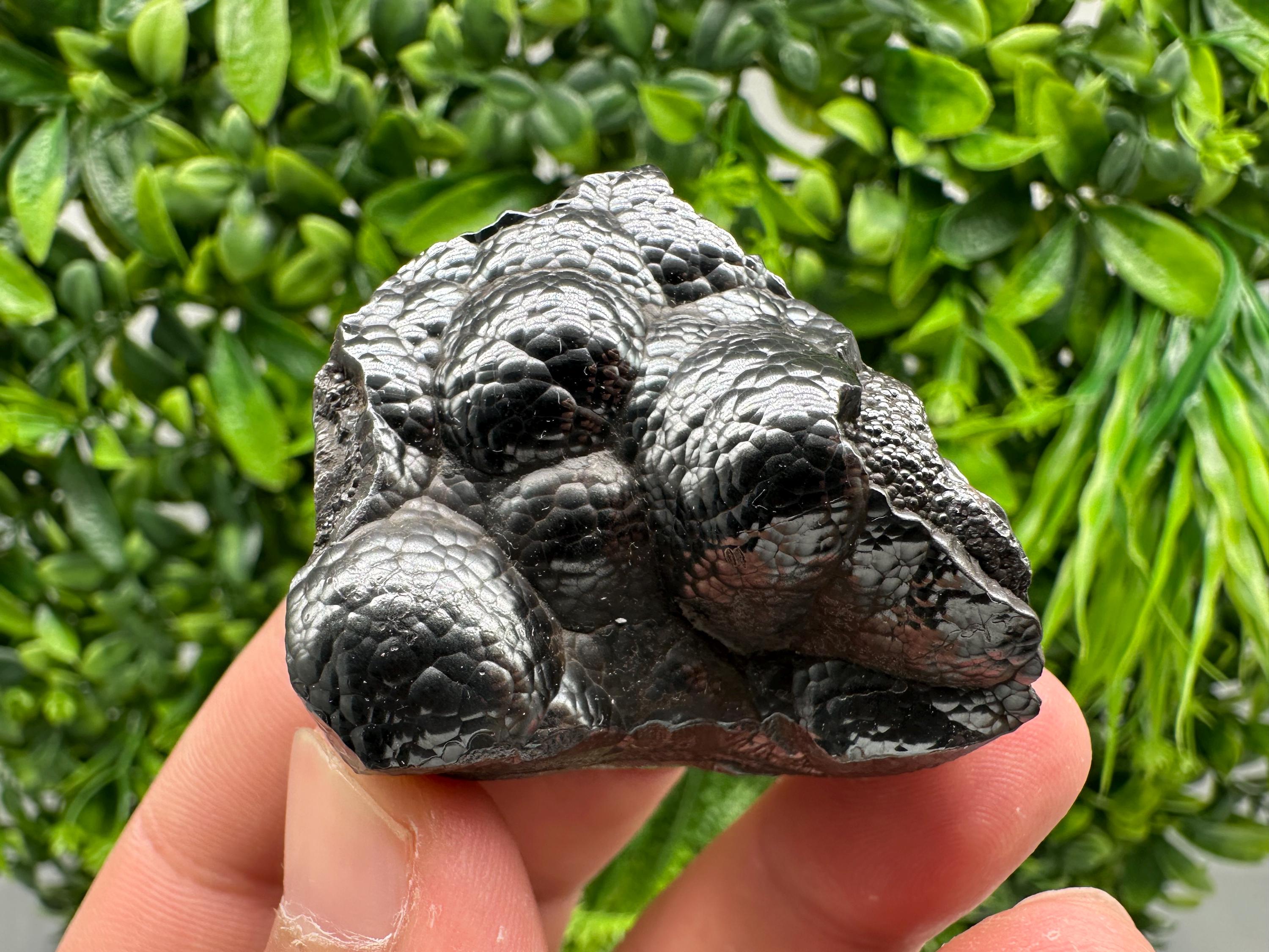 Botryoidal Black Hematite Specimen: Moroccan Crystal for Reiki Chakra