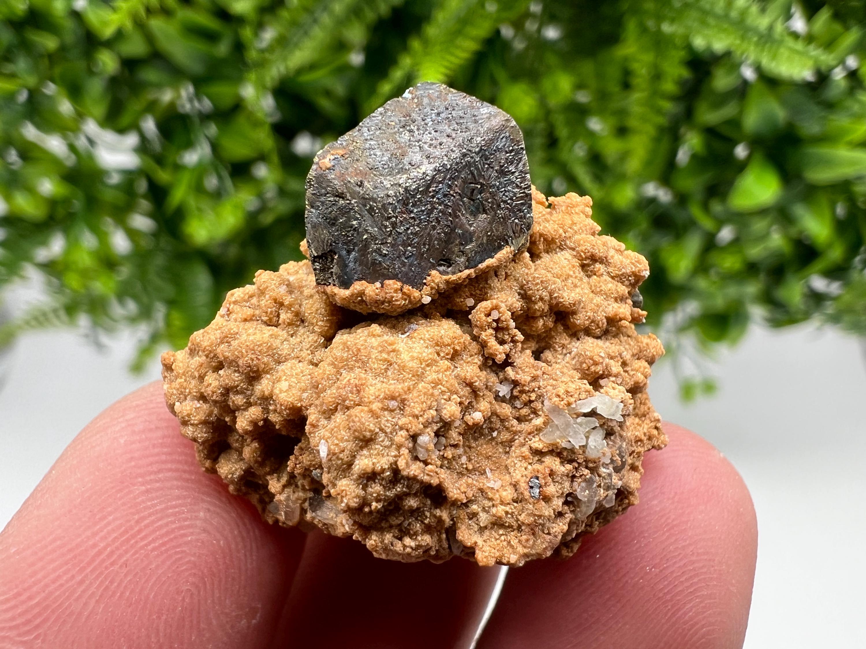 Chalcopyrite with Hematite on Siderite Specimen, Bulgaria Mineral Collection
