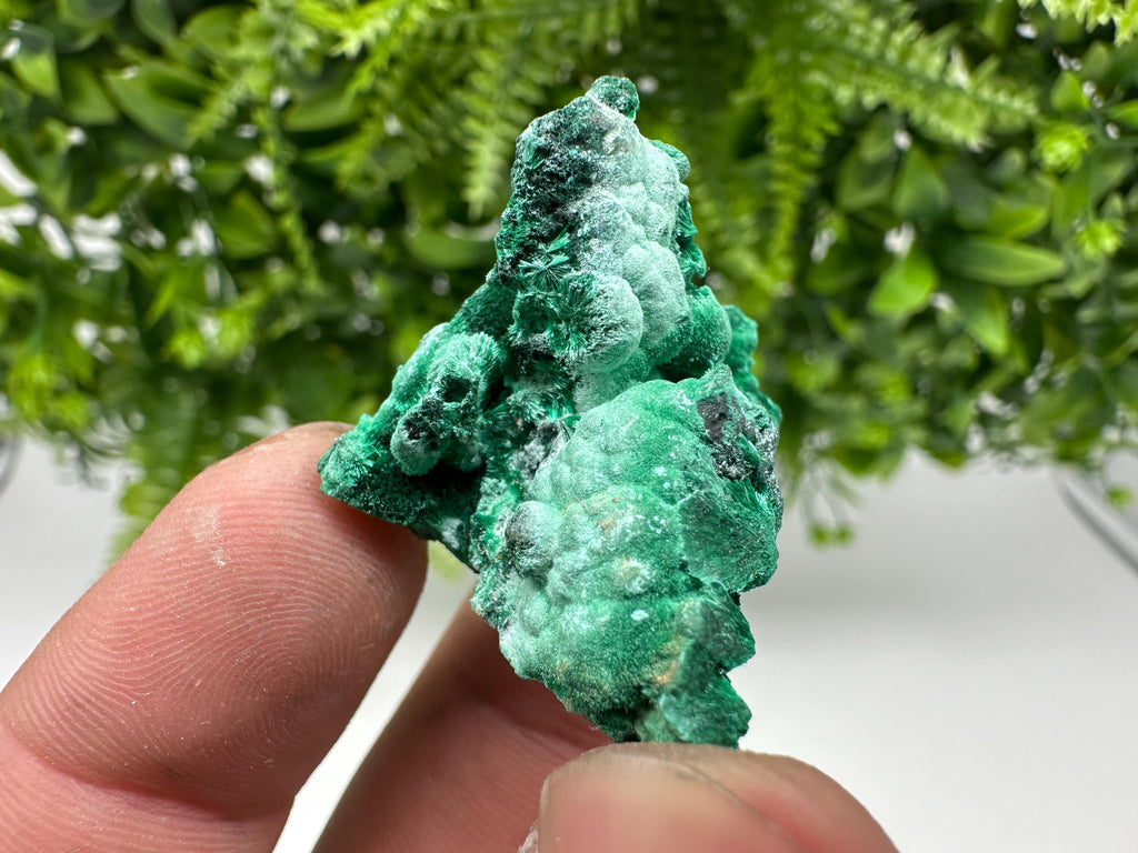 Malachite Crystal from Congo,Minerals,Crystals from Congo,Green Malachite, Malachite,Natural Malachite,Malachite Stone,Chakra, Specimens
